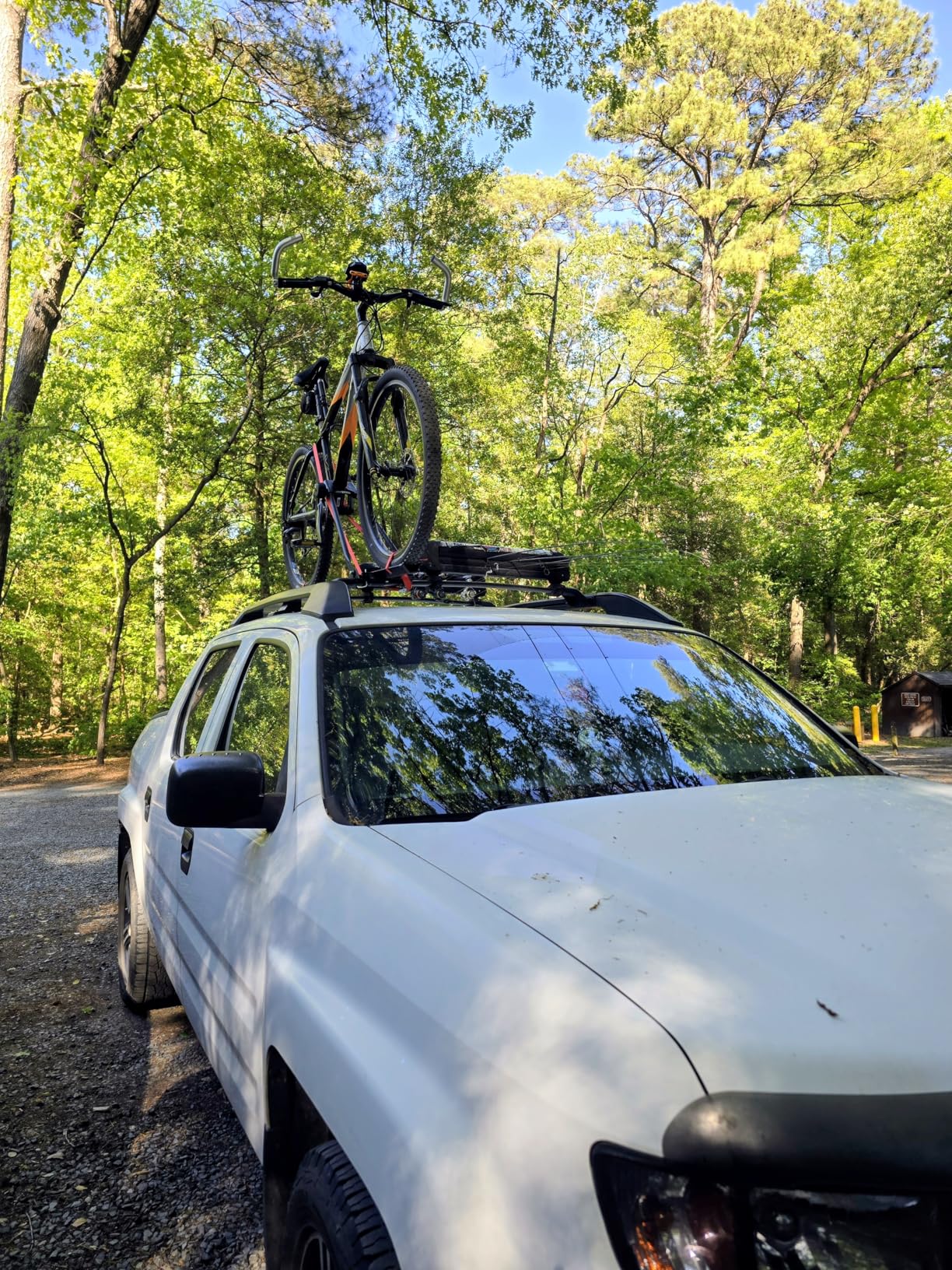 Swagman Upright Roof Mount Bike Rack - Rooftop Upright Bike Carrier customer photo 2
