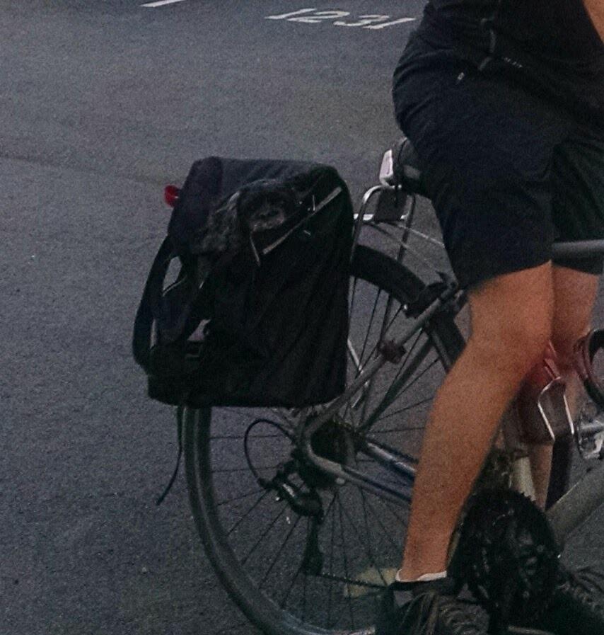Banjo Brothers Market Pannier customer photo 1