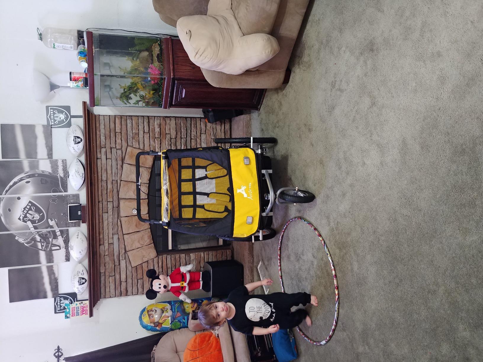 Aosom Elite 360 Swivel Bike Trailer for Kids Double Child Two-Wheel Bicycle Cargo Trailer with 2 Security Harnesses customer photo 2
