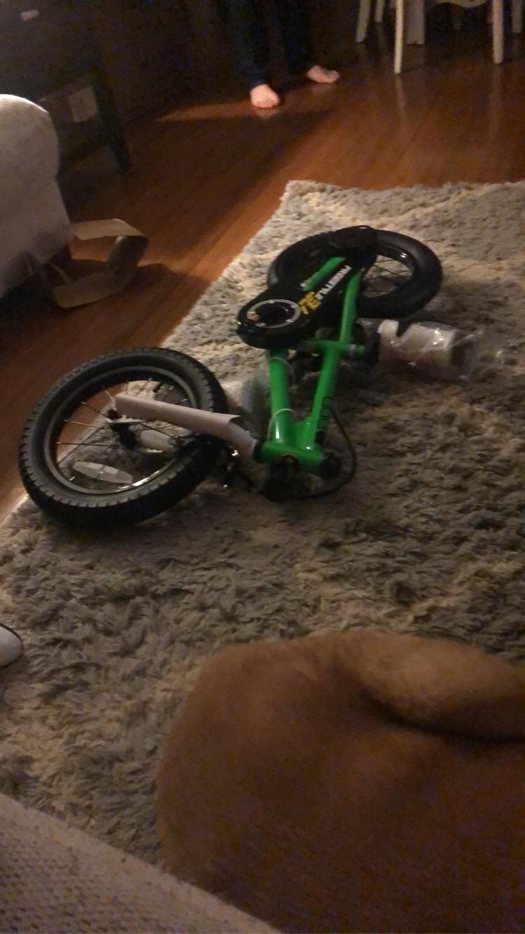 RoyalBaby Freestyle Kids Bike for Boys Girls Ages 3-10 Years | 12 14 16 Inch with Training Wheels, 18 Inch with Kickstand, BMX Style customer photo 2