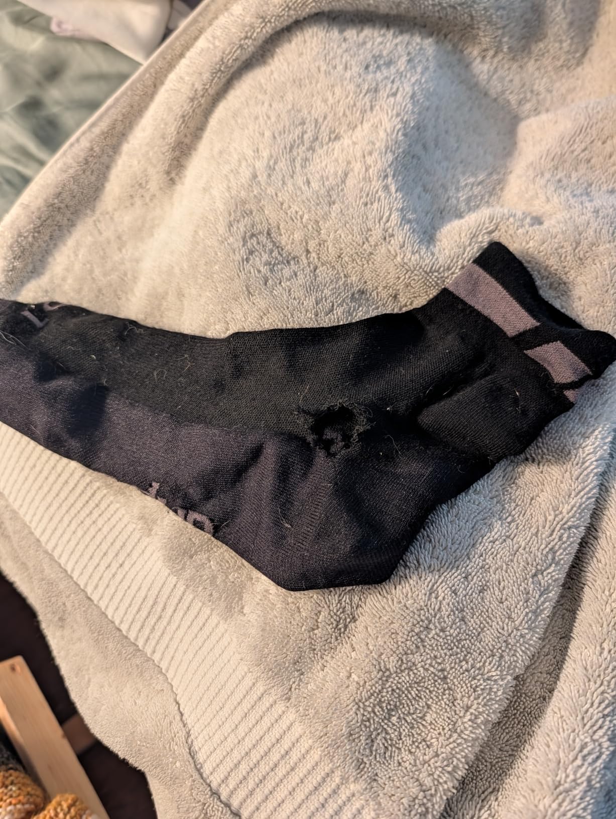 GripGrab Merino Cycling Socks Regular Cut - Wool Bike Socks 1 & 3 Pack customer photo 1