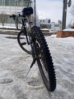 Schwalbe Ice Spiker Pro Performance RaceGuard Tyre (Wired) customer photo 1
