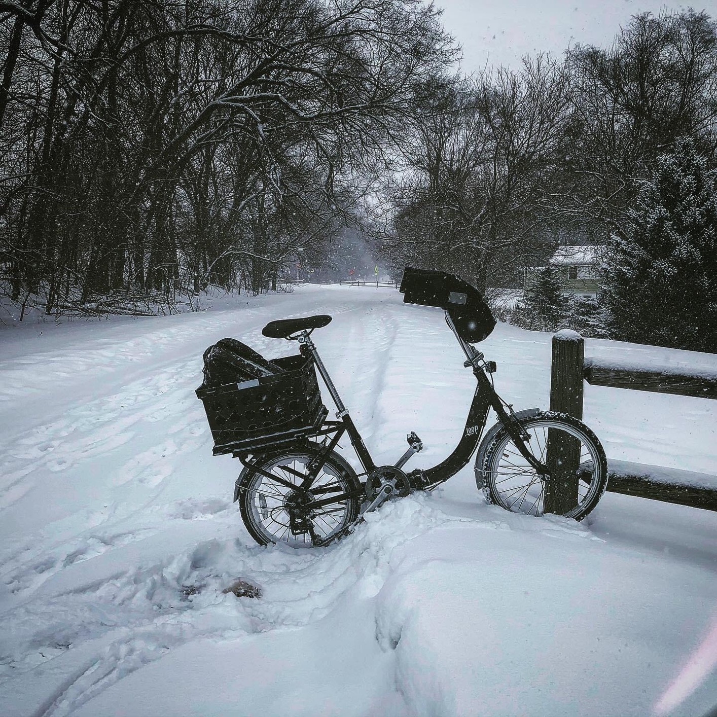 Schwinn Loop 20-Inch Folding Bike customer photo 2