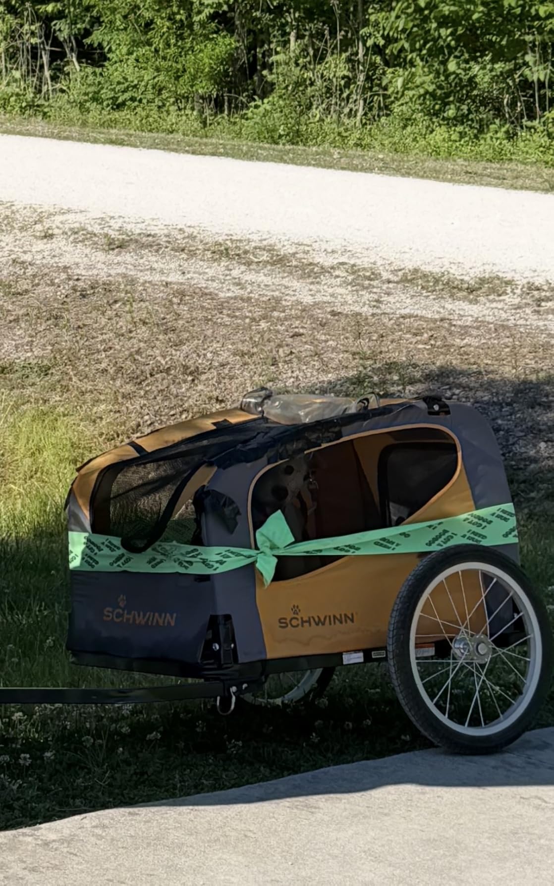 Schwinn 13-SC315 Rascal Bike Pet Trailer, For Small and Large Dogs, Lightweight, Tow with Bicycle, Up to 50 lbs. Small, Orange/Grey customer photo 2