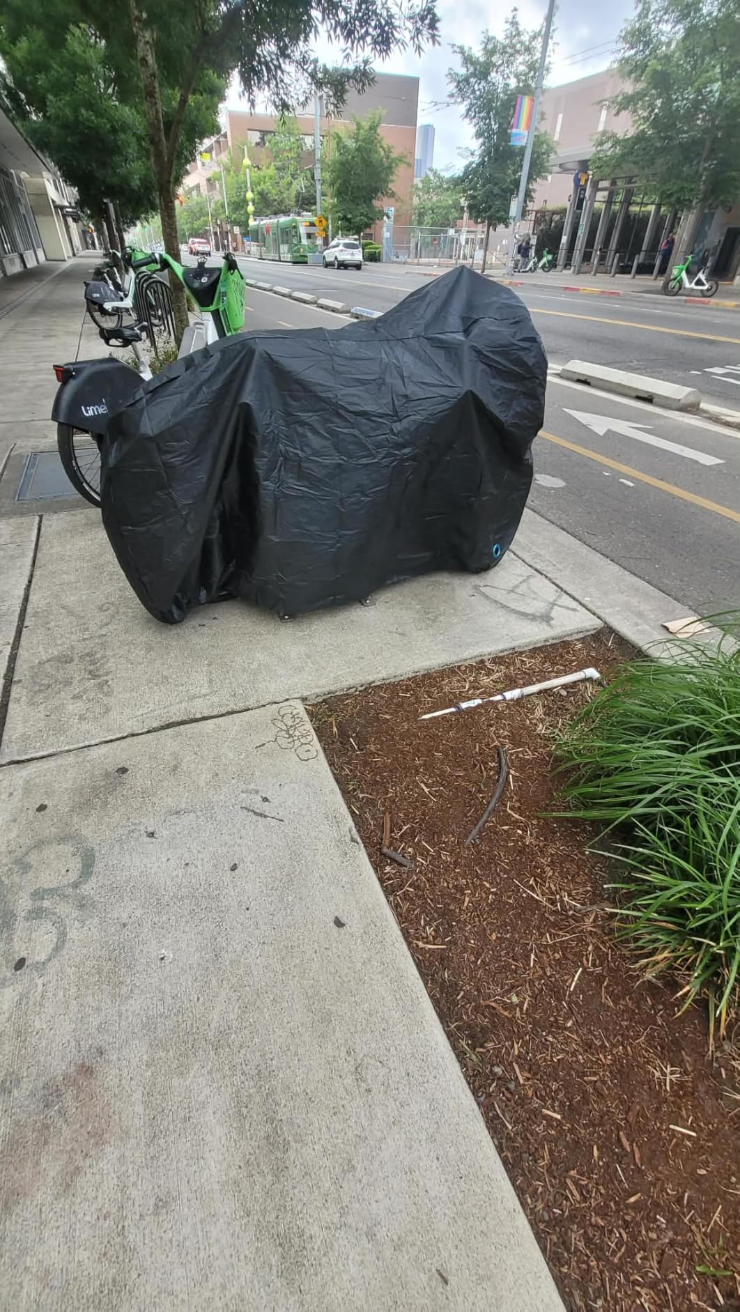 Puroma Bike Cover for 1/2/3 Bikes, Waterproof Outdoor Storage Bicycle Covers Rain Sun UV Dust Wind Proof with Lock Hole for Mountain Road Electric Bike customer photo 1