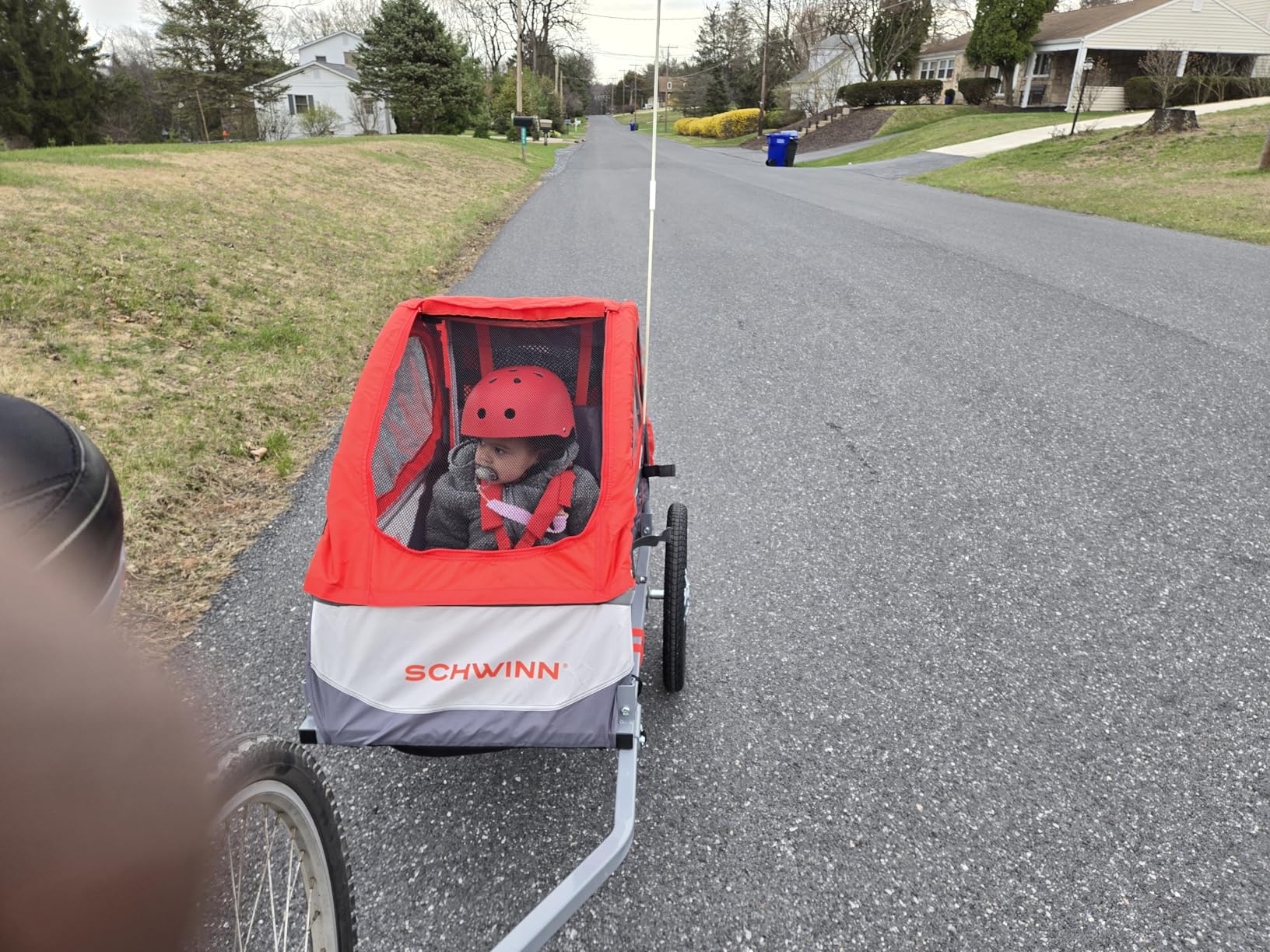 Schwinn Trailblazer Plus Kids Bike Trailer, Single Seat, Universal Coupler, Folding Frame, Quick-Release Wheels, Canopy with Bug Screen and Weather Shield, Schwinn Bike Trailer for Kids customer photo 2