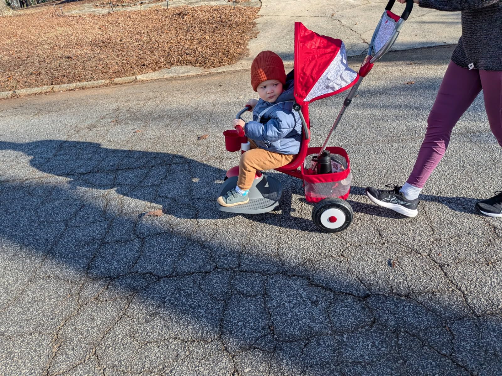 Radio Flyer Ultimate All-Terrain Stroll 'N Trike, Ages 1-5, UV Canopy | Stroller Tricycle for Toddlers, Convertible 4-in-1 Tricycle, All-Terrain Tires, Parent Push Handle, Accessories customer photo 1