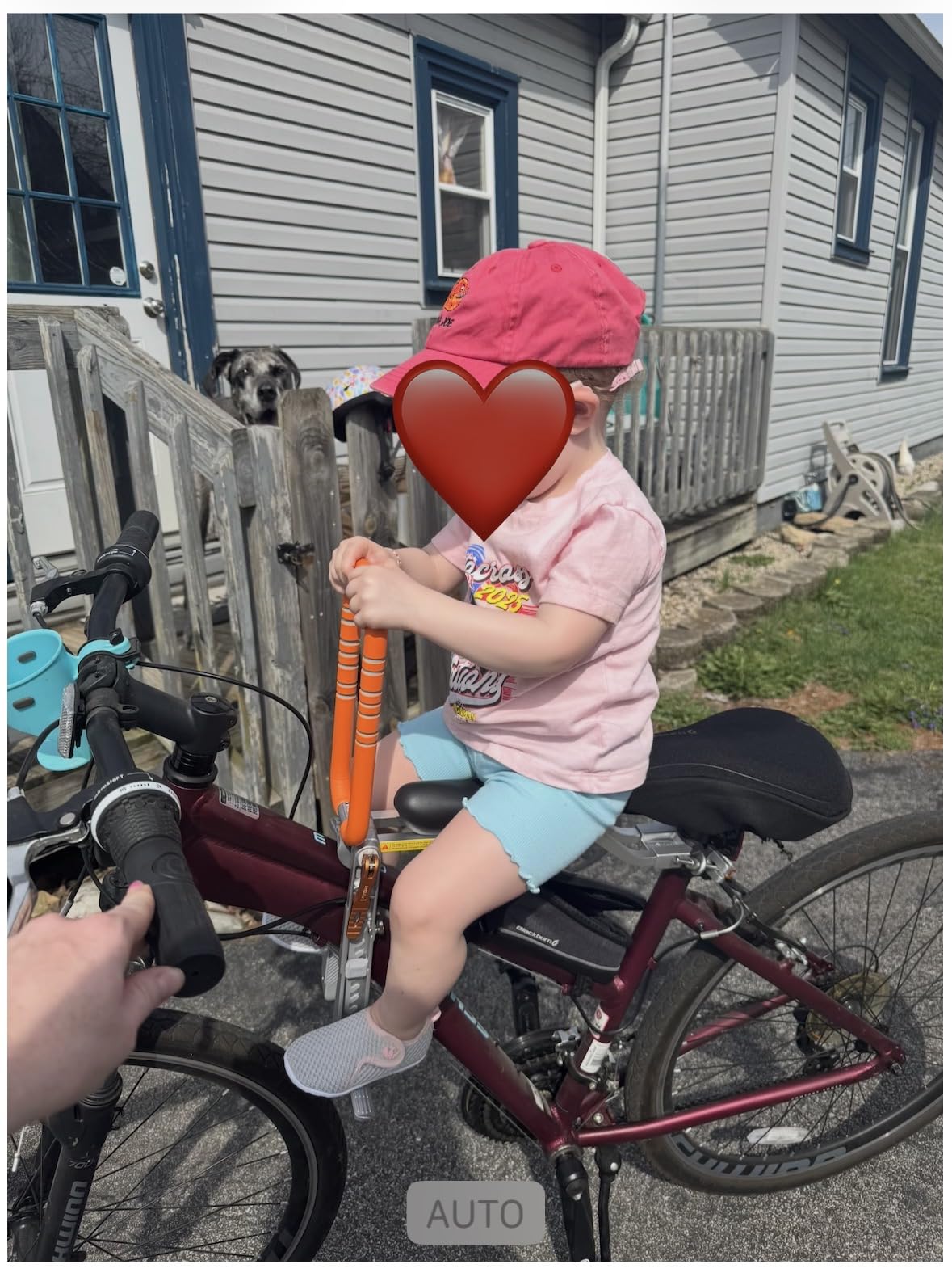 Child Bike Seat, Front Mount Kids Bike Seat, Fit Mountain Bikes, Cruiser Bikes, Folding Bikes, Ultra Light, Portable, Tool-Free, Quick-Release, Toddler Bike Seat for 2-6 Years (up to 60lbs) customer photo 1