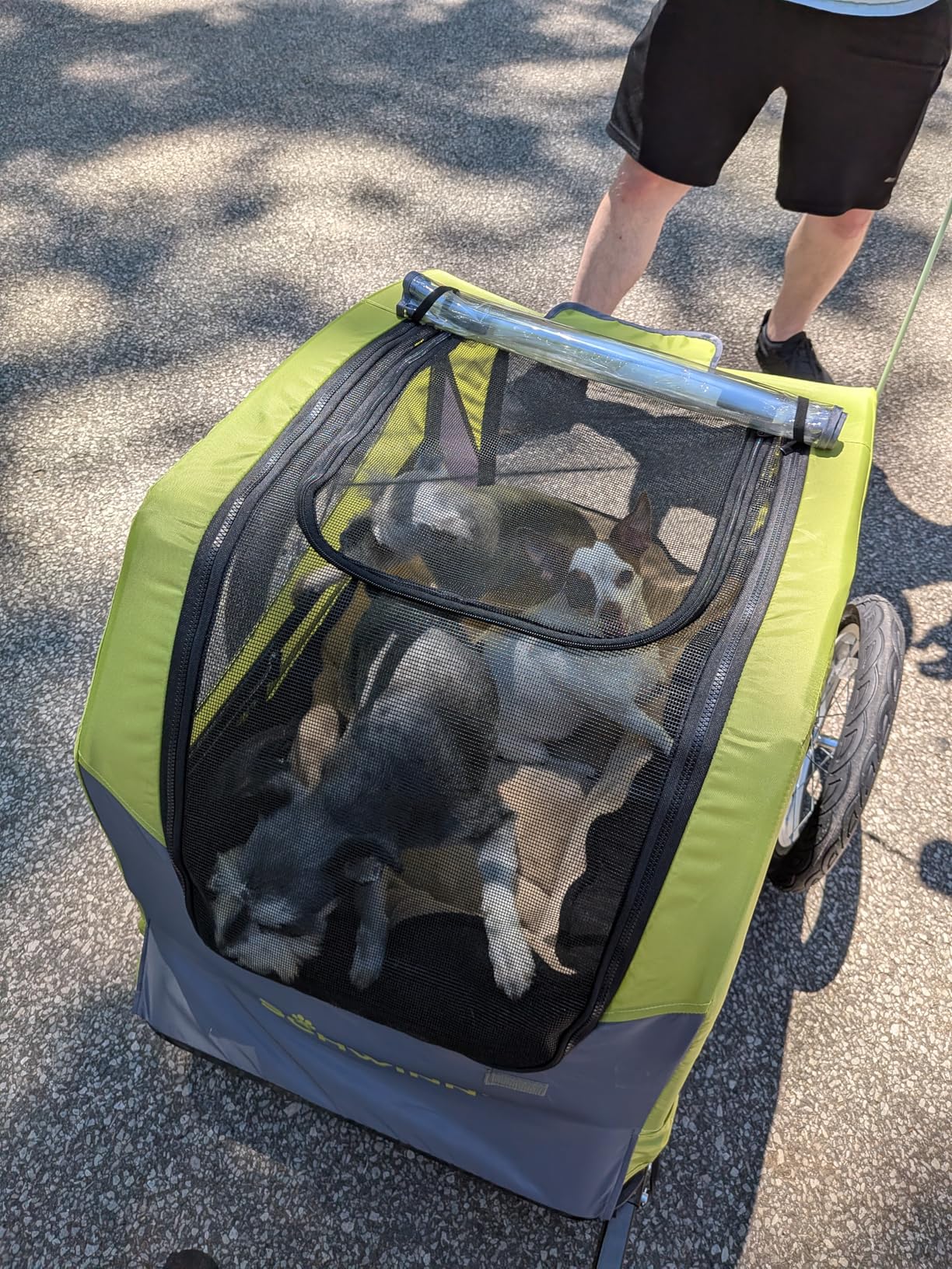 Schwinn Rascal Plus Pet Trailer, Holds Pets Up To 100 lb customer photo 1