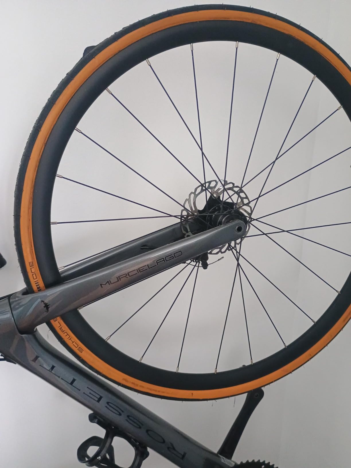 Schwalbe One RaceGuard TLE Folding Tyre customer photo 1