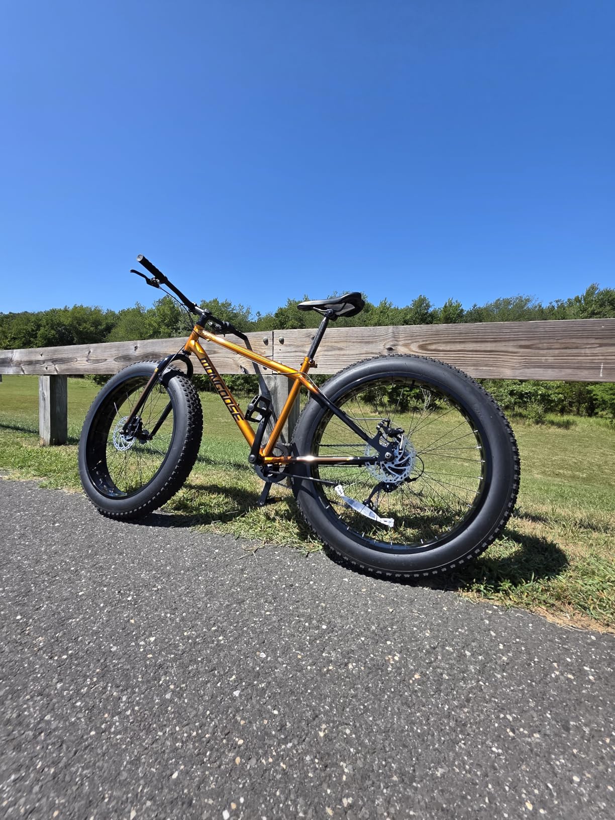 Mongoose Argus Trail or ST Fat Tire Mountain Bike, 20, 24 or 26 Inch Bike for Kids and Adults, 7 or 16 Speed, Aluminum or Steel Frame, Knobby Mountain Fat Tires, Mechanical Disc Brakes customer photo 1