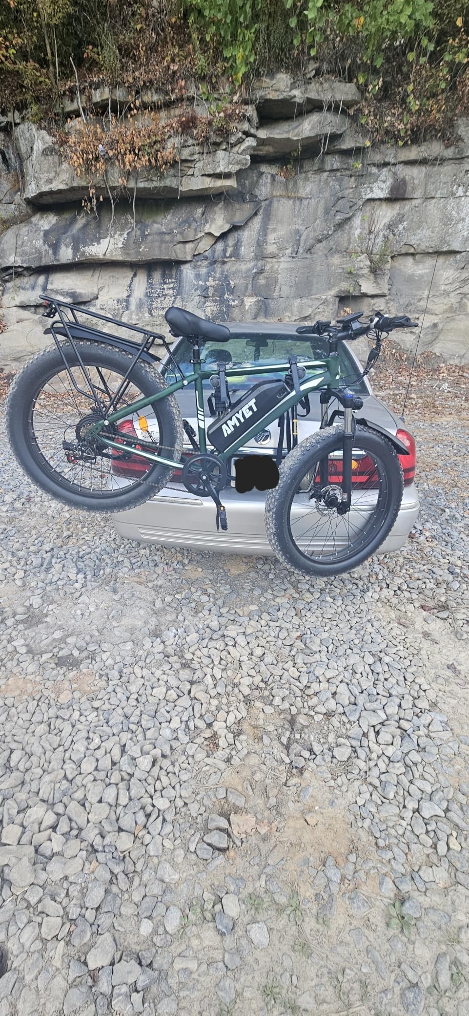 Saris Guardian Trunk Bike Rack customer photo 2