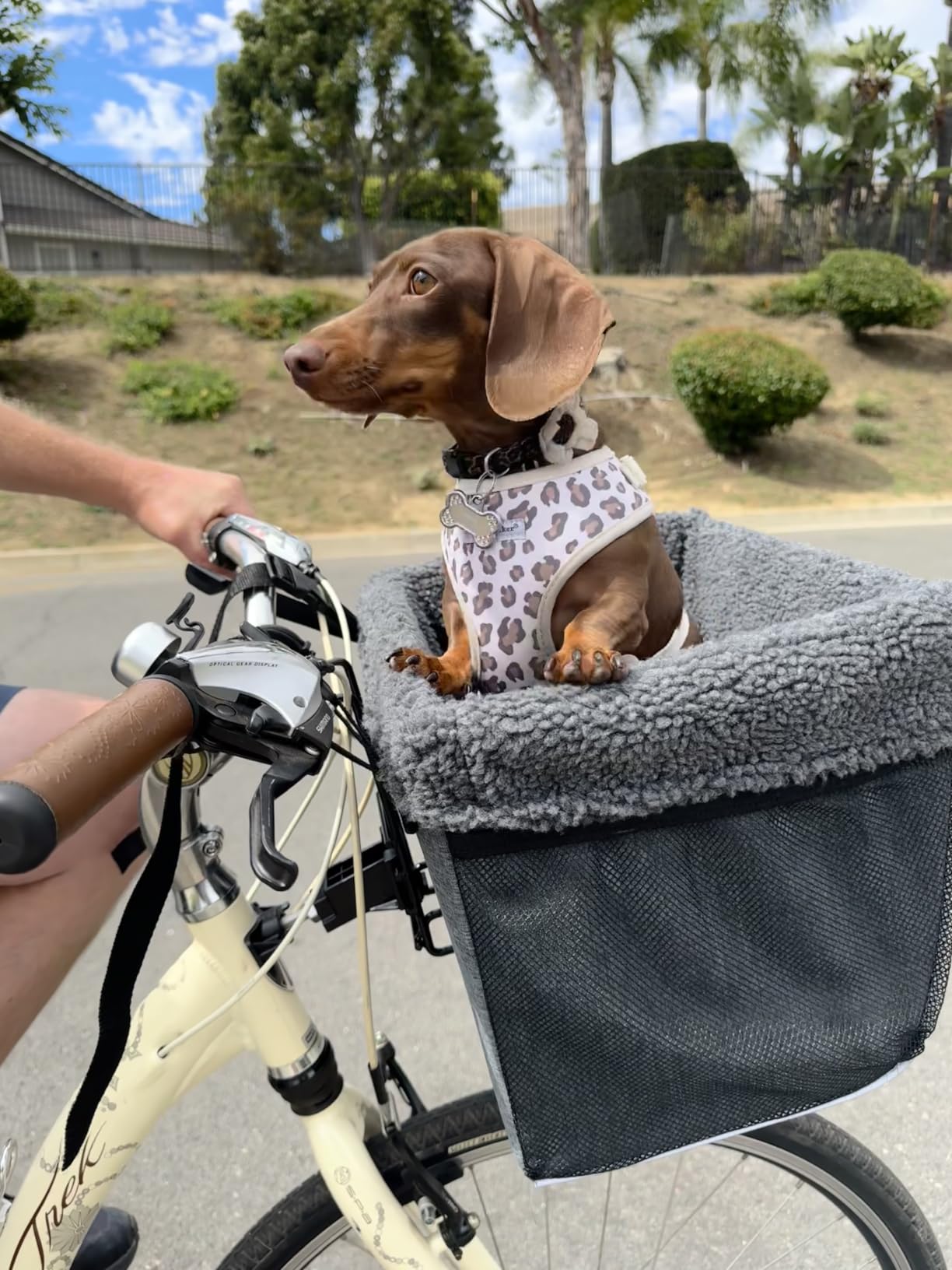 K&H Dog Bike Basket Front Mount, Pet Bike Carrier for Small Dogs & Cats, Bicycle Dog Basket with Safety Leash, Washable Liner, Heavy Duty Metal Frame, Universal Fit, 16x12x10 in customer photo 1