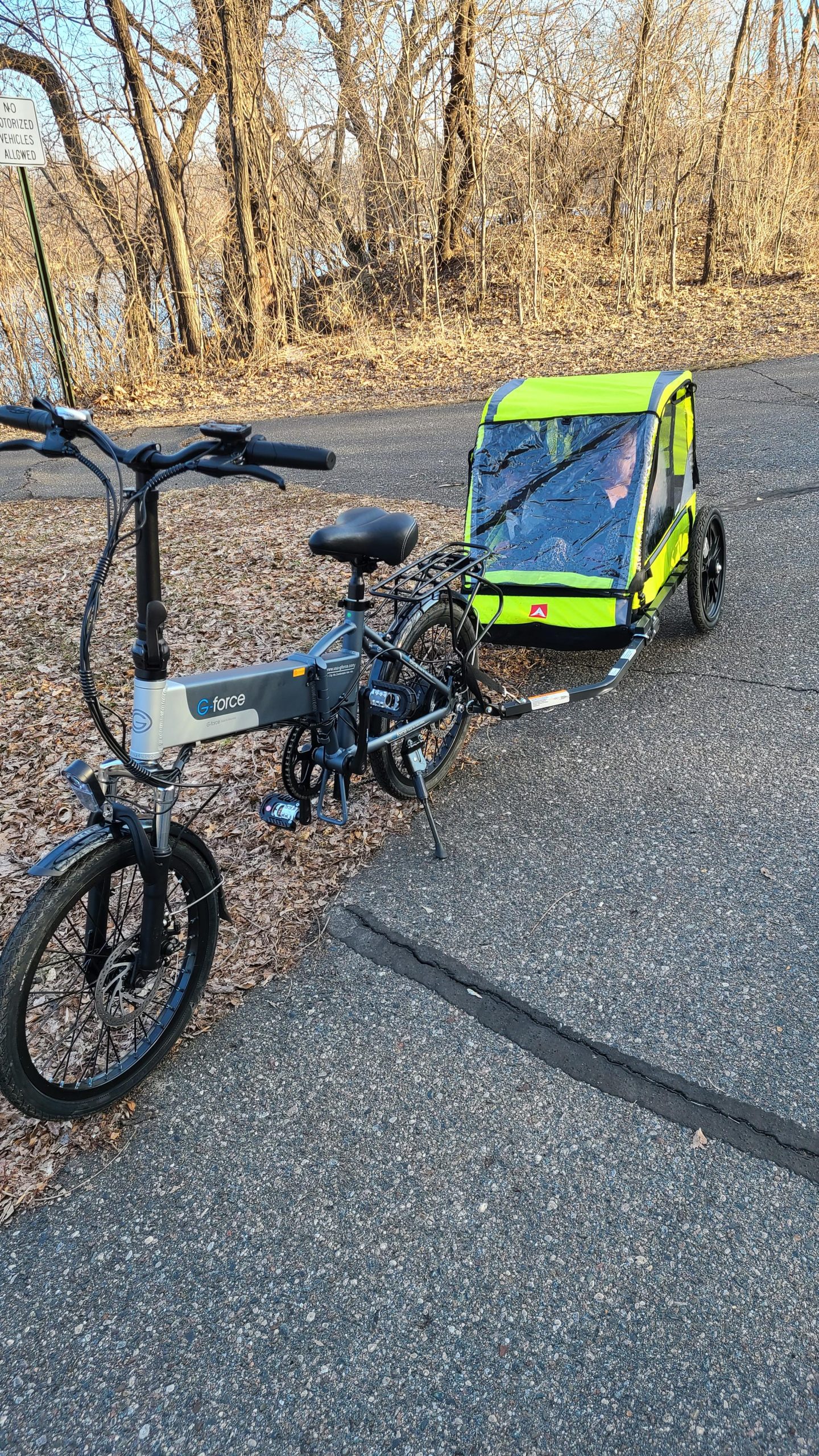 Allen Sports Hi-Viz 2-Child Bicycle Trailer, Model ET2 customer photo 2
