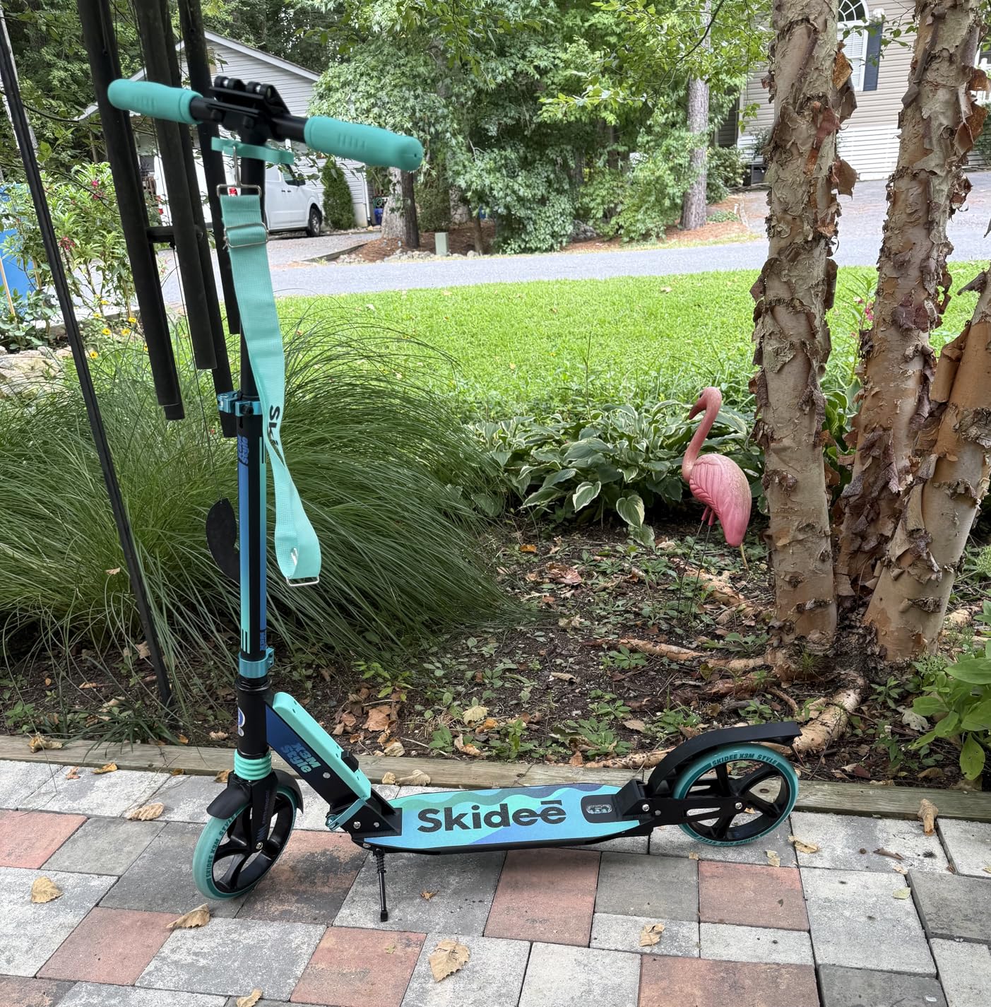 Skidee Adult & Teen Scooter Adjustable Height, Folding, Large Wheels, Lightweight, Durable, Anti-Shock Suspension, Up to 220 lbs customer photo 1