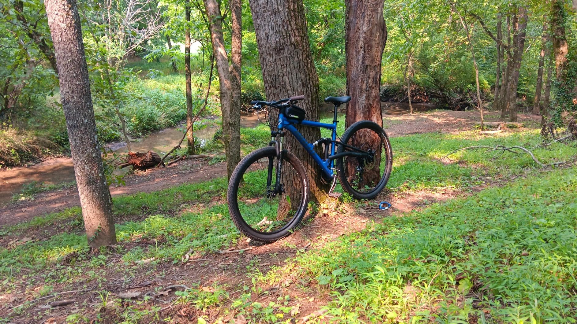 2025 Gravity FSX 29 LTD Dual Suspension 21 Speed Mountain Bike customer photo 2