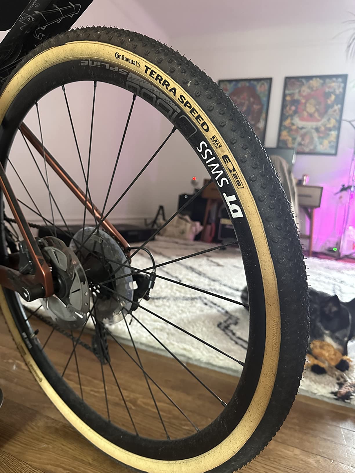 Continental Terra Speed - Tubeless Gravel Bike Tire | Engineered for Speed, Engineered for the Unknown - E25 Ebike Rated customer photo 2