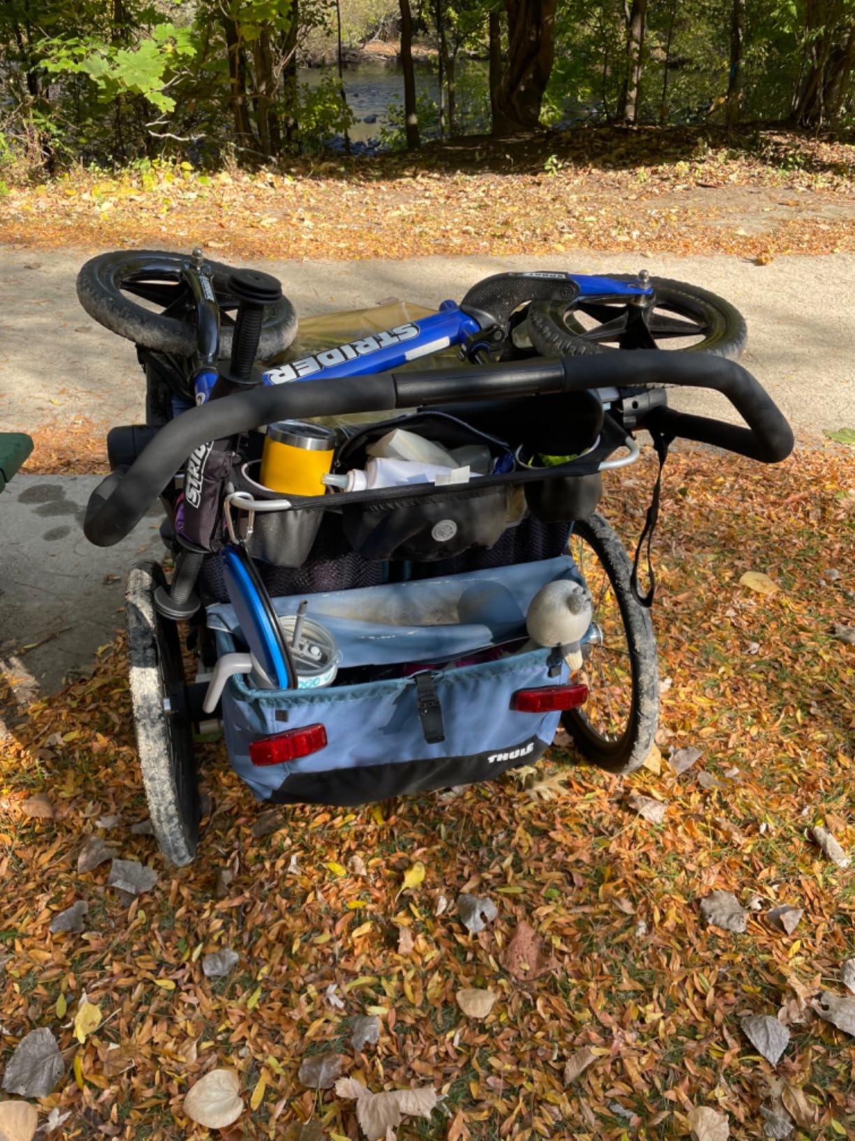 Thule Chariot Cross Multisport Trailer & Stroller customer photo 1