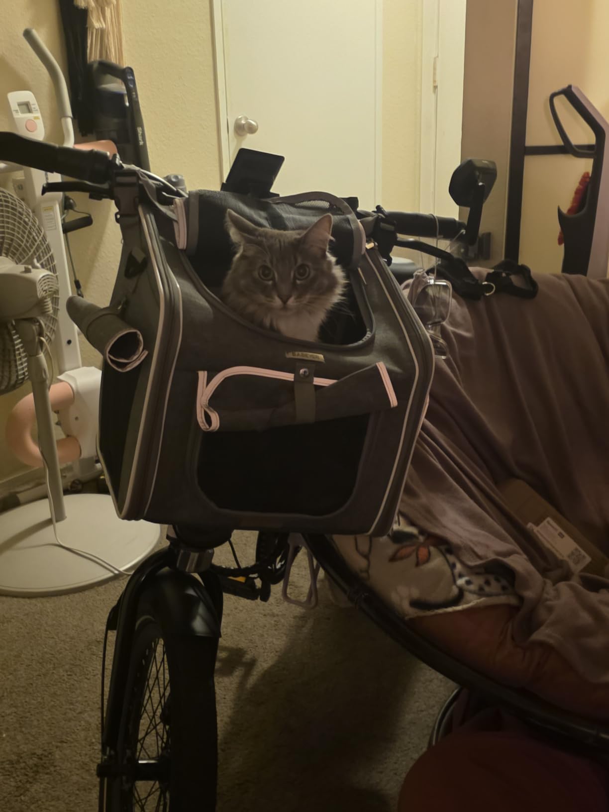 Dog Bike Basket, Expandable Soft-Sided Pet Carrier Backpack with 4 Open Doors, 4 Mesh Windows for Small Dog Cat Puppies - Grey customer photo 1