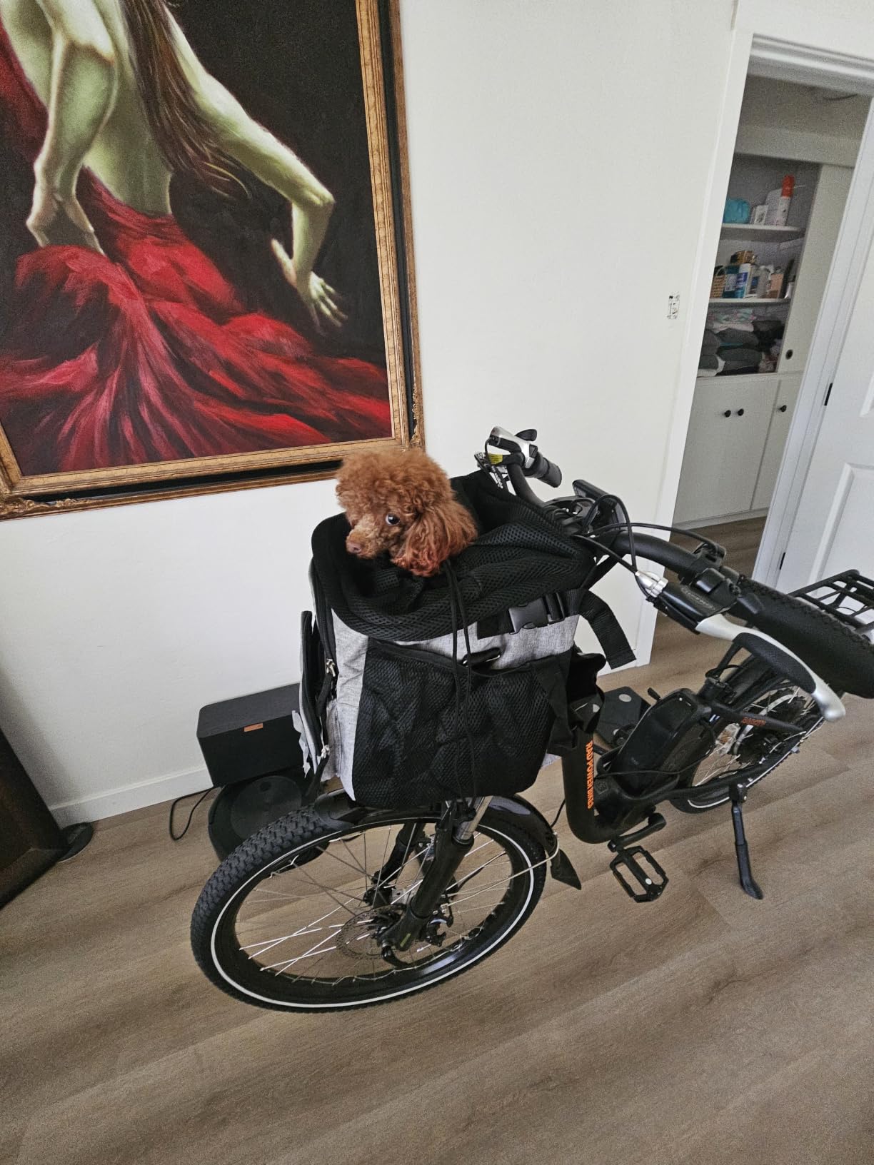 PetAmi Dog Bike Basket, Soft-Sided Ventilated Dog Bike Carrier Backpack, Pet Bicycle Basket for Bike Handlebar, Small Medium Puppy Cat Kitten Car Booster Seat with Safety Strap, Max 18 lbs, Dark Gray customer photo 2