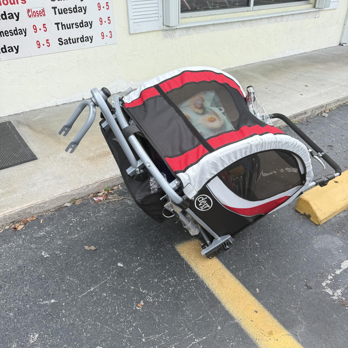 ClevrPlus Deluxe 3-in-1 Double 2 Seat Bicycle Bike Trailer Jogger Stroller for Kids Children | Foldable Collapsible w/Pivot Front Wheel customer photo 2