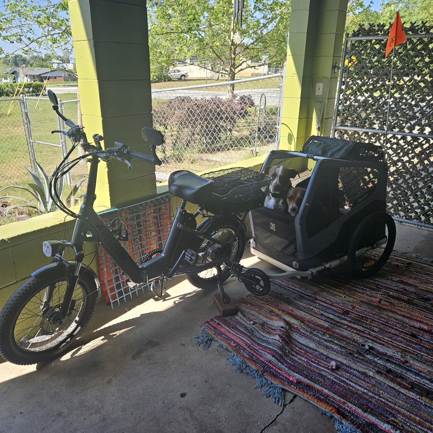 Burley Bark Ranger Pet Bike Trailer customer photo 1