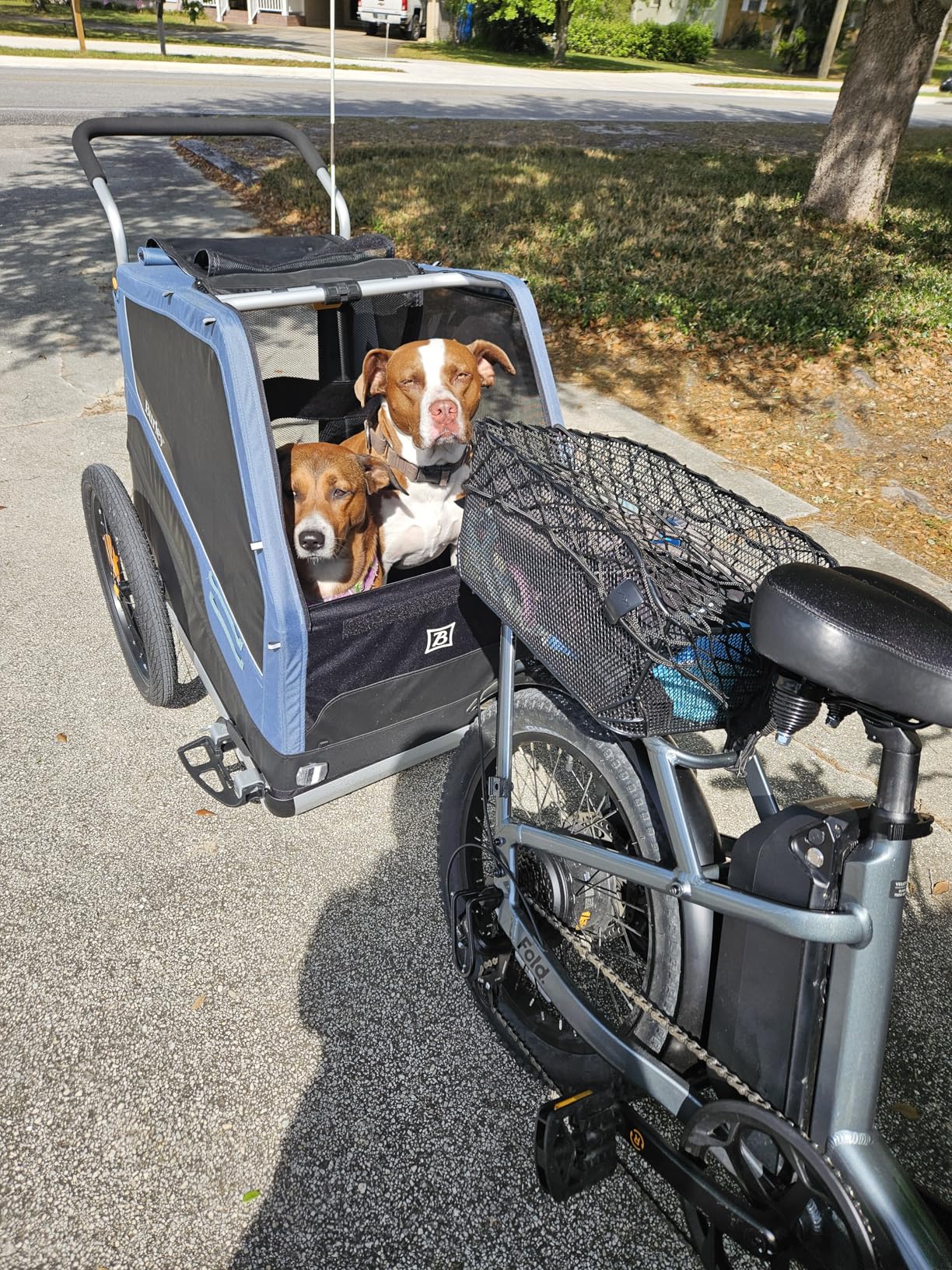 Burley Bark Ranger Pet Bike Trailer customer photo 2