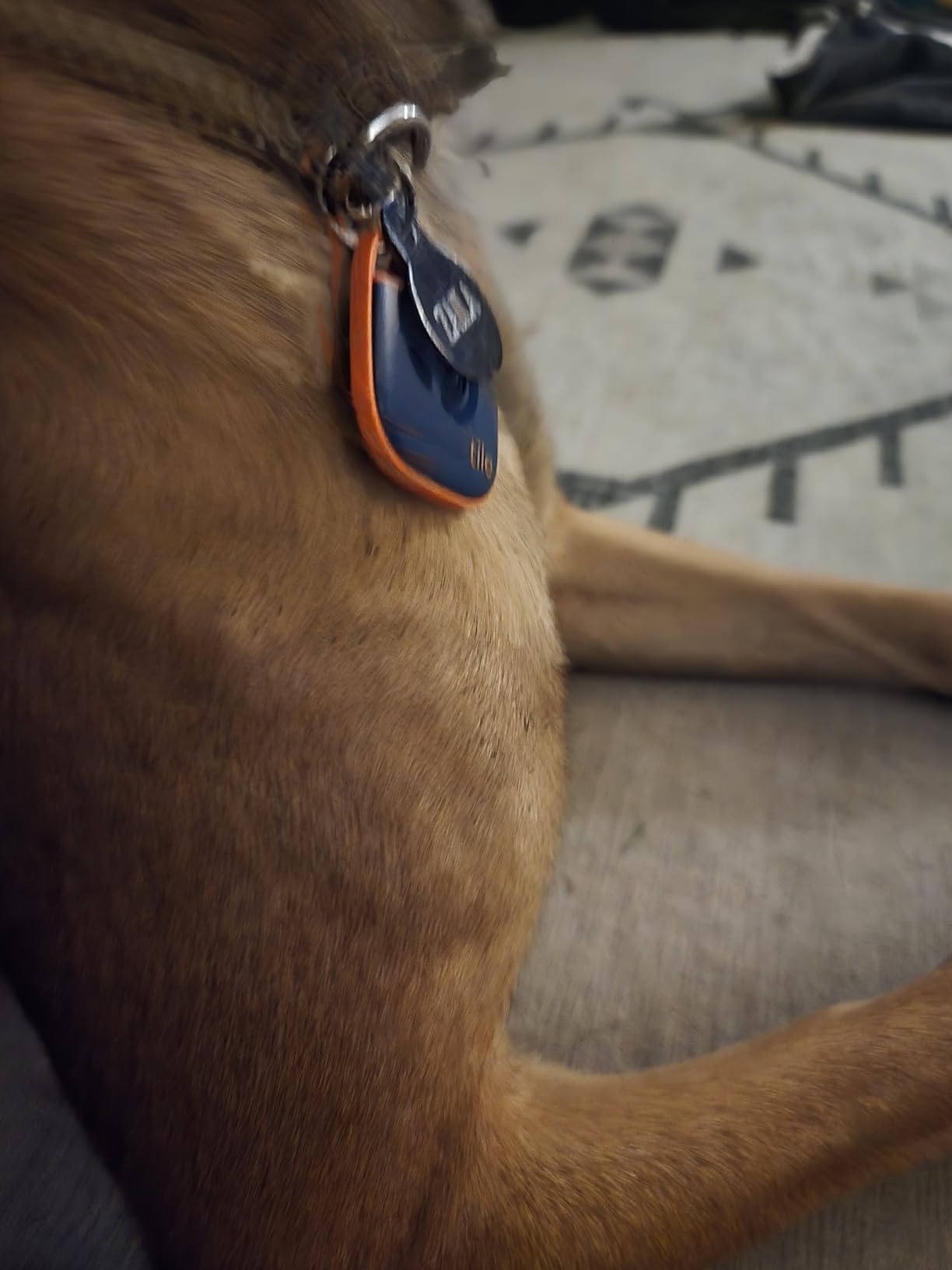 Life360 Tile - Bluetooth Tracker, Keys Finder and Item Locator for Keys, Bags and More. Phone Finder. Both iOS and Android Compatible. 1-Pack (Navy Blaze) customer photo 2