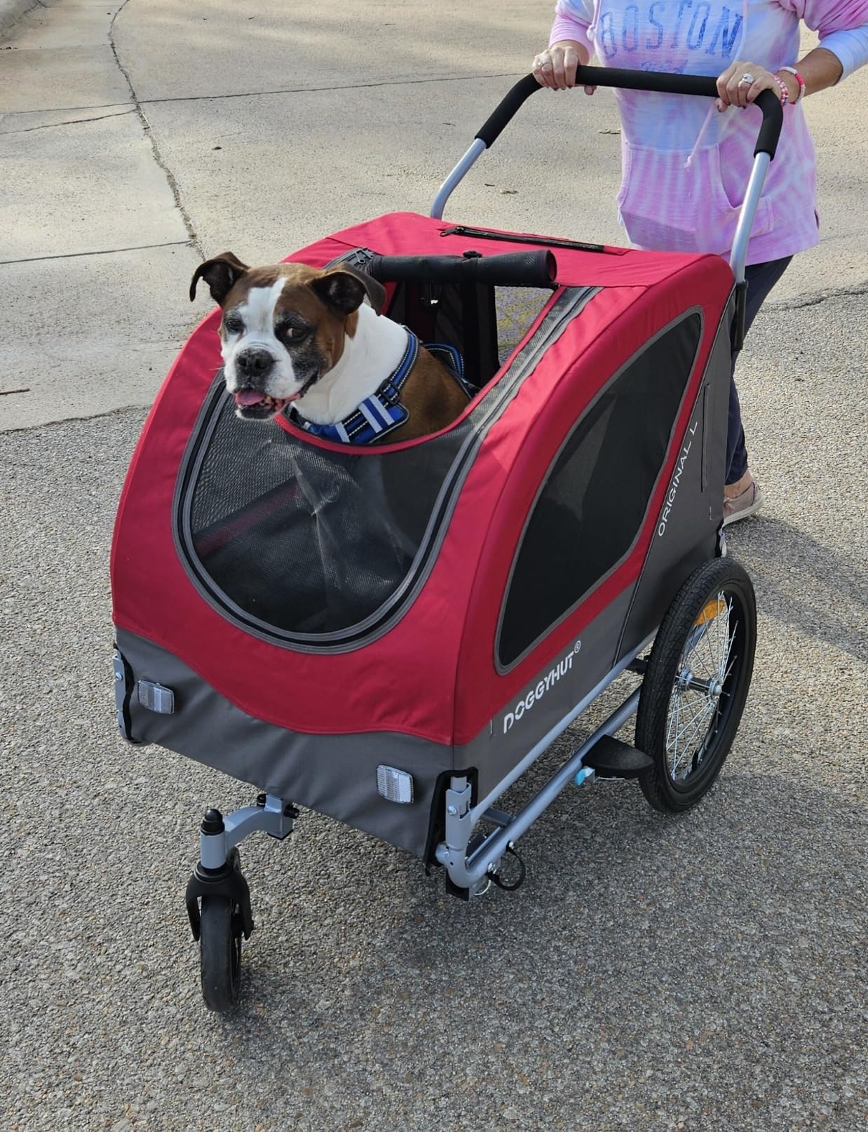 Doggyhut Original Large Pet Bike Trailer & Stroller 2-in-1, for Dogs up to 78 lbs, Parking Brakes, Easy Folding Cart Frame, Quick Release Wheel, Universal Bicycle Coupler (Blue) customer photo 1