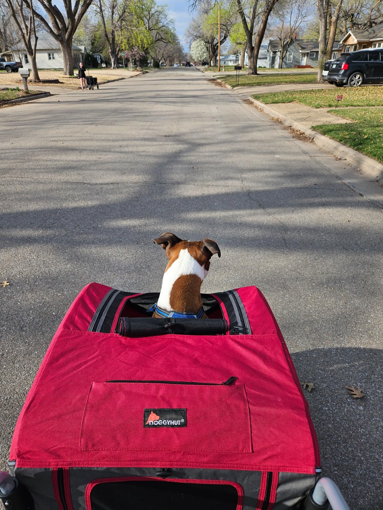 Doggyhut Original Large Pet Bike Trailer & Stroller 2-in-1, for Dogs up to 78 lbs, Parking Brakes, Easy Folding Cart Frame, Quick Release Wheel, Universal Bicycle Coupler (Blue) customer photo 2