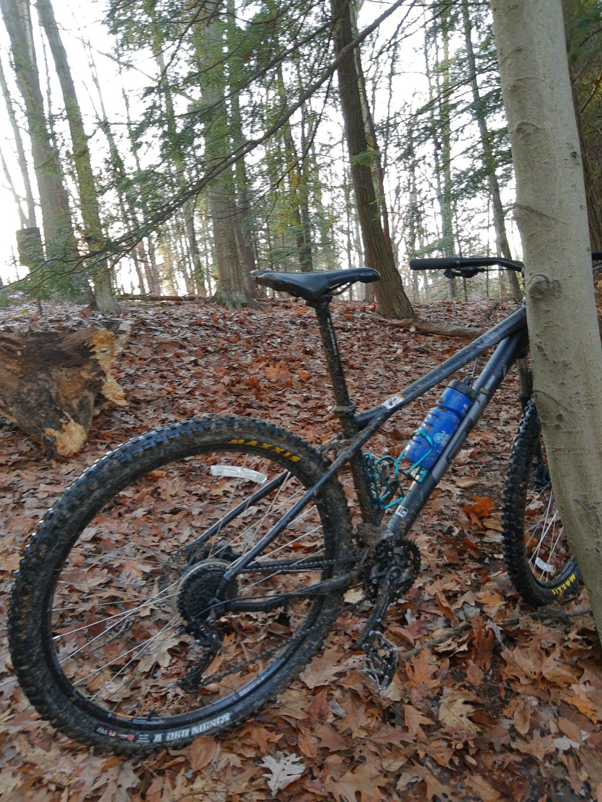 Maxxis Minion DHF Mountain Bike Tire | 3C MaxxTerra | 29, 27.5, 26, 24 in, 2.3-3.0 WT, EXO/EXO+/DD, E25, Tubeless Ready customer photo 2