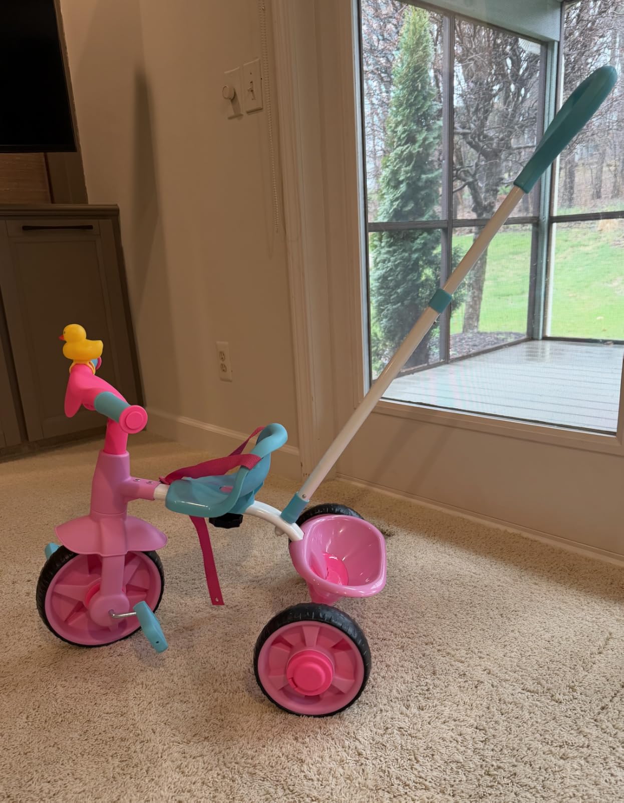 KRIDDO 2 in 1 Kids Tricycles Age 18 Month to 3 Years, EVA Wheels Upgraded, Gift, Trikes for Toddlers 2 to 3 Year Old with Push Handle and Duck Bell, Pink customer photo 1
