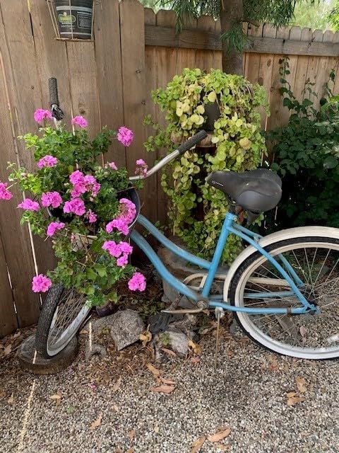 Retrospec Apollo-Lite Lift-Off Bike Basket - Detachable Steel Handlebar Basket with Carrying Handle for Commuting, Shopping & Beach Trips customer photo 1