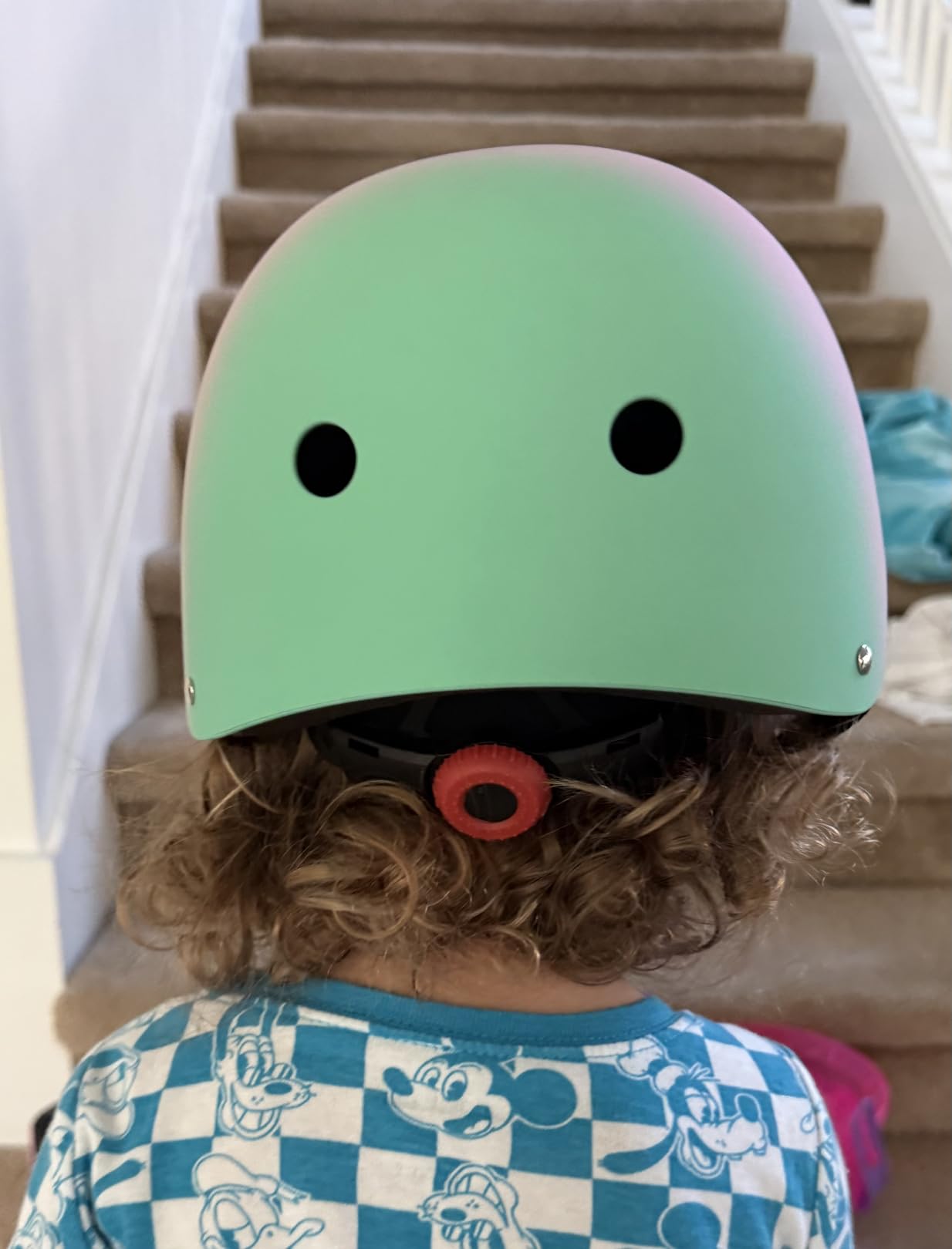 Kids Bike Helmet for 2-3-5-8-14 Ages Girls,Boys,Toddler,Kids and Youth, Ventilation and Impact Resistance Toddler Bike Helmet for Multi-Sport Bicycle Scooter Inline Roller Skate and Skateboarding customer photo 1