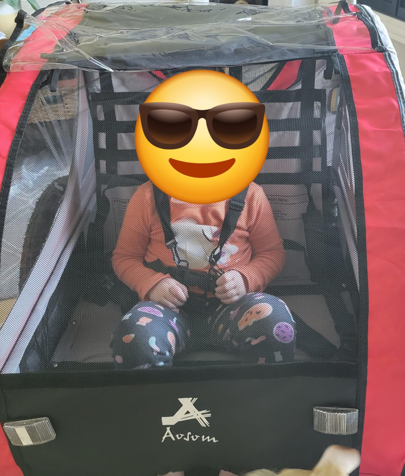 Aosom 3-in-1 Walk/Jog/Ride Child Baby Bike Trailer for Kids 2 Seater customer photo 1