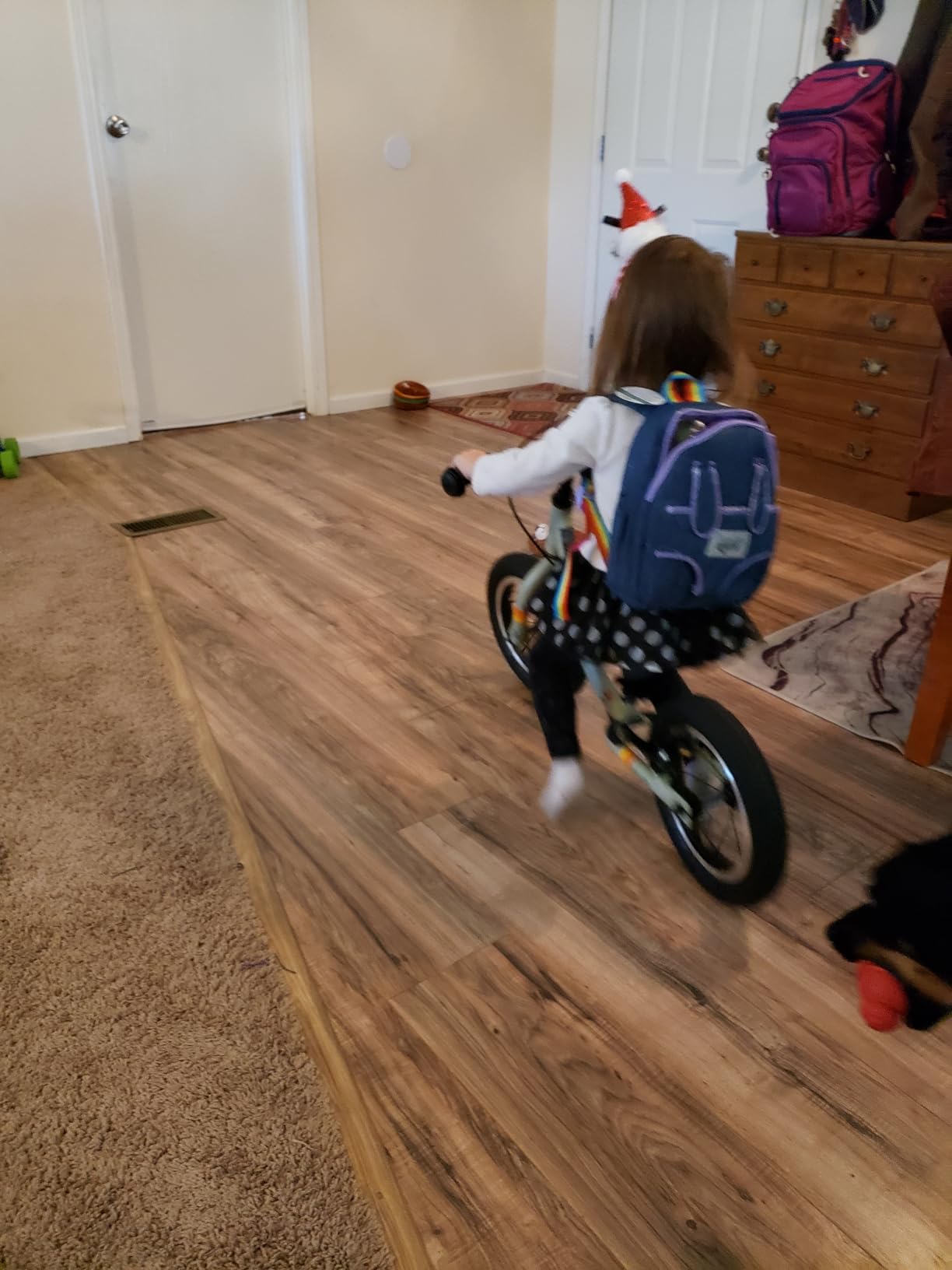 Retrospec Cub Plus Toddler Balance Bike for Boys & Girls Ages 18 Months - 4 Years No Pedals with Lightweight Frame and Adjustable V-Brake, Seat and Handlebar for Kids customer photo 2