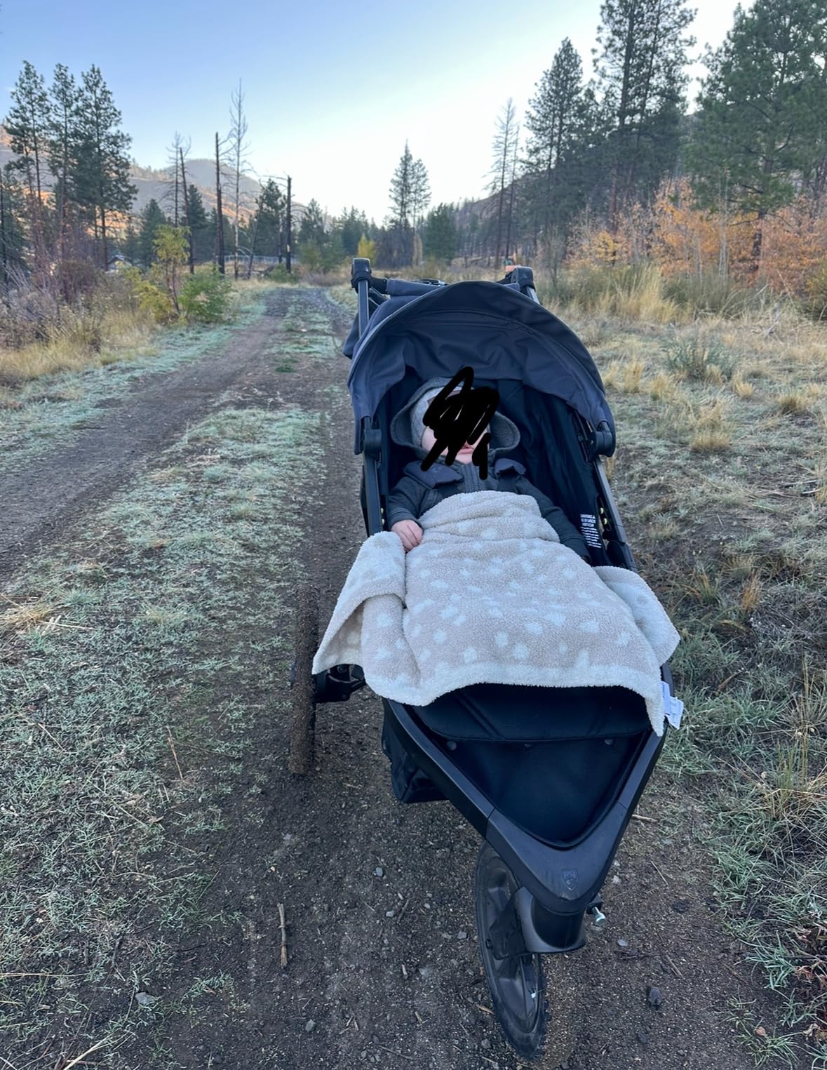 Thule Wayfinder Jogging Stroller - Nightfall | Sleek, Slim Jogger Stroller; Running Stroller With Independent Dual Suspension & Air-Filled Tires; Infant Car Seat Compatible customer photo 1