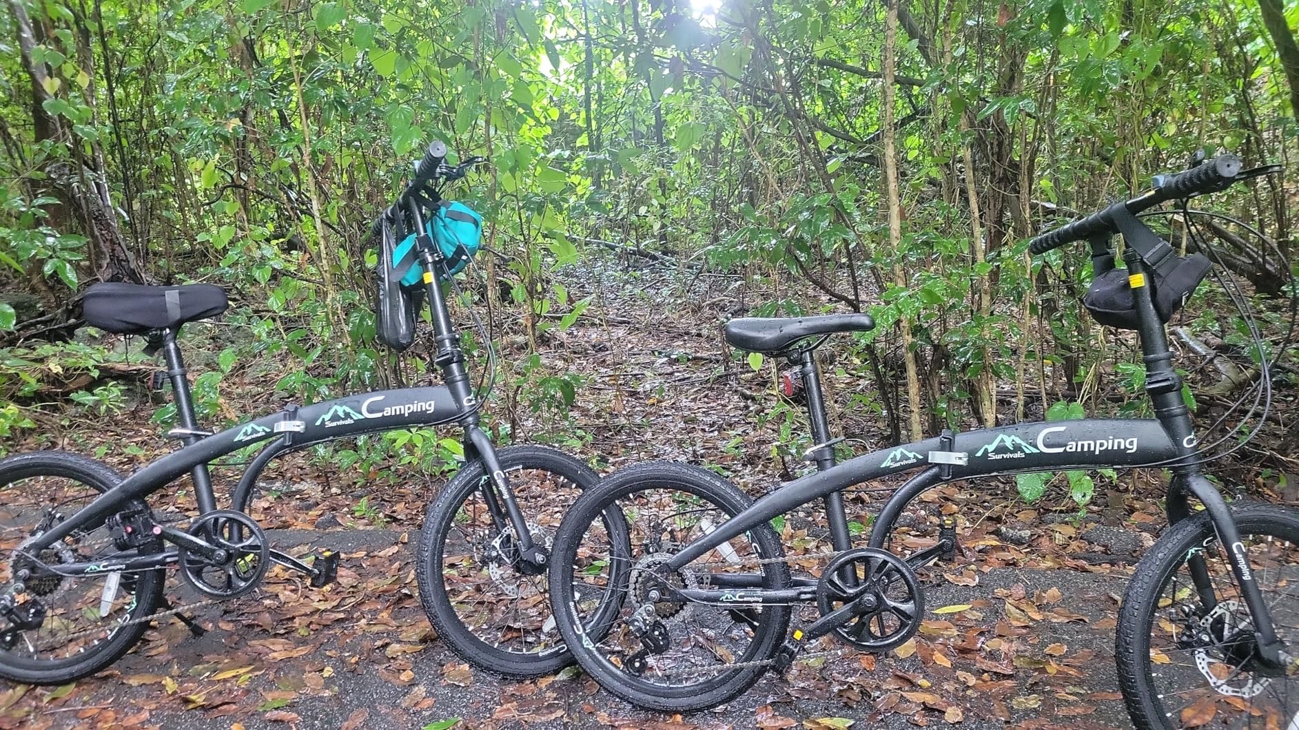Ktaxon 20 in Folding Bike Adult Bike, 7-Speed Folding Bicycle with 100% Assembled customer photo 1