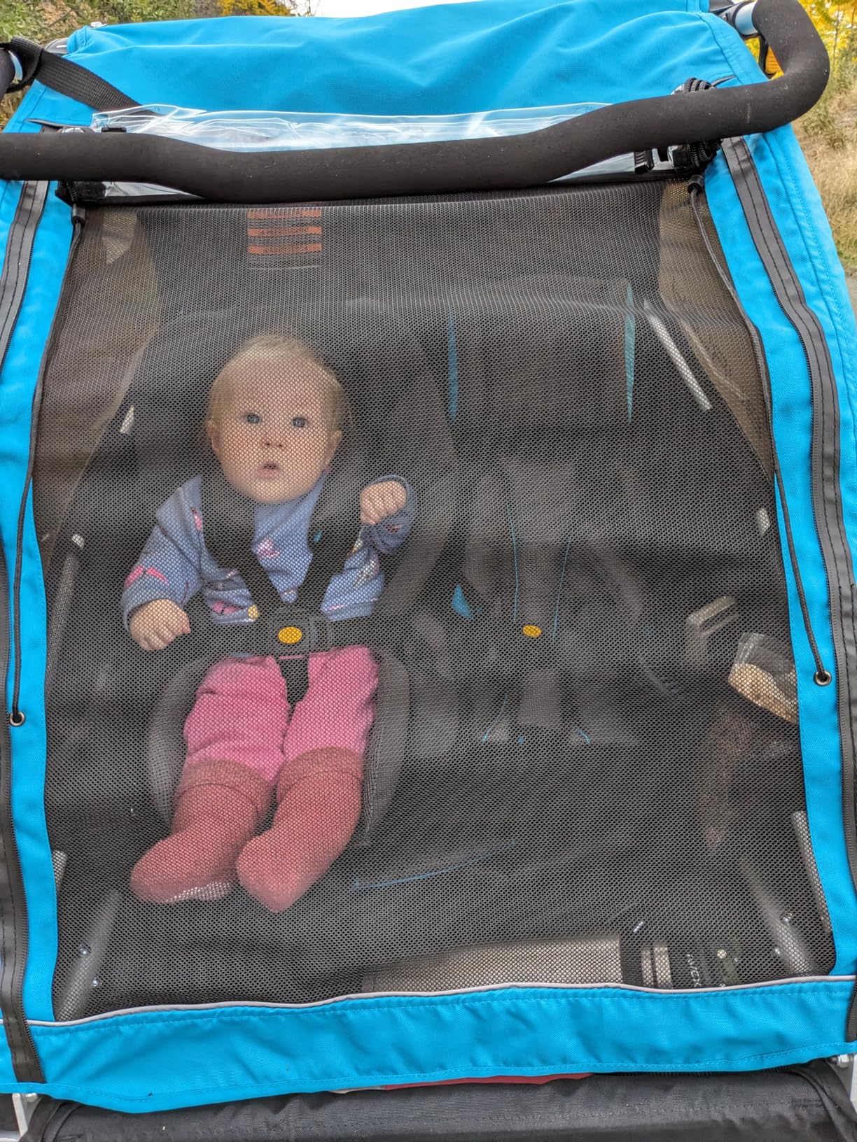 Burley D'Lite X, 1 and 2 Seat Kid Bike Trailer & Stroller customer photo 2