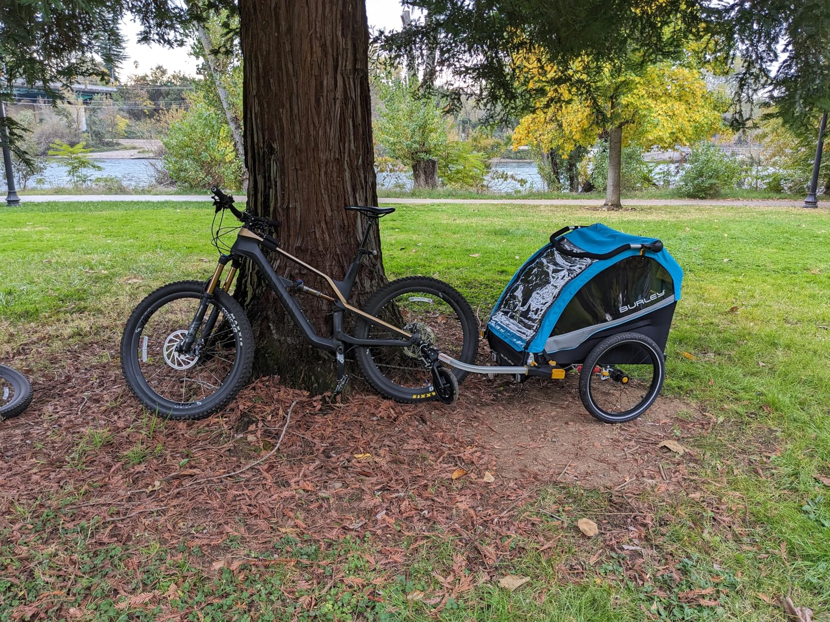 Burley D'Lite X, 1 and 2 Seat Kid Bike Trailer & Stroller customer photo 1