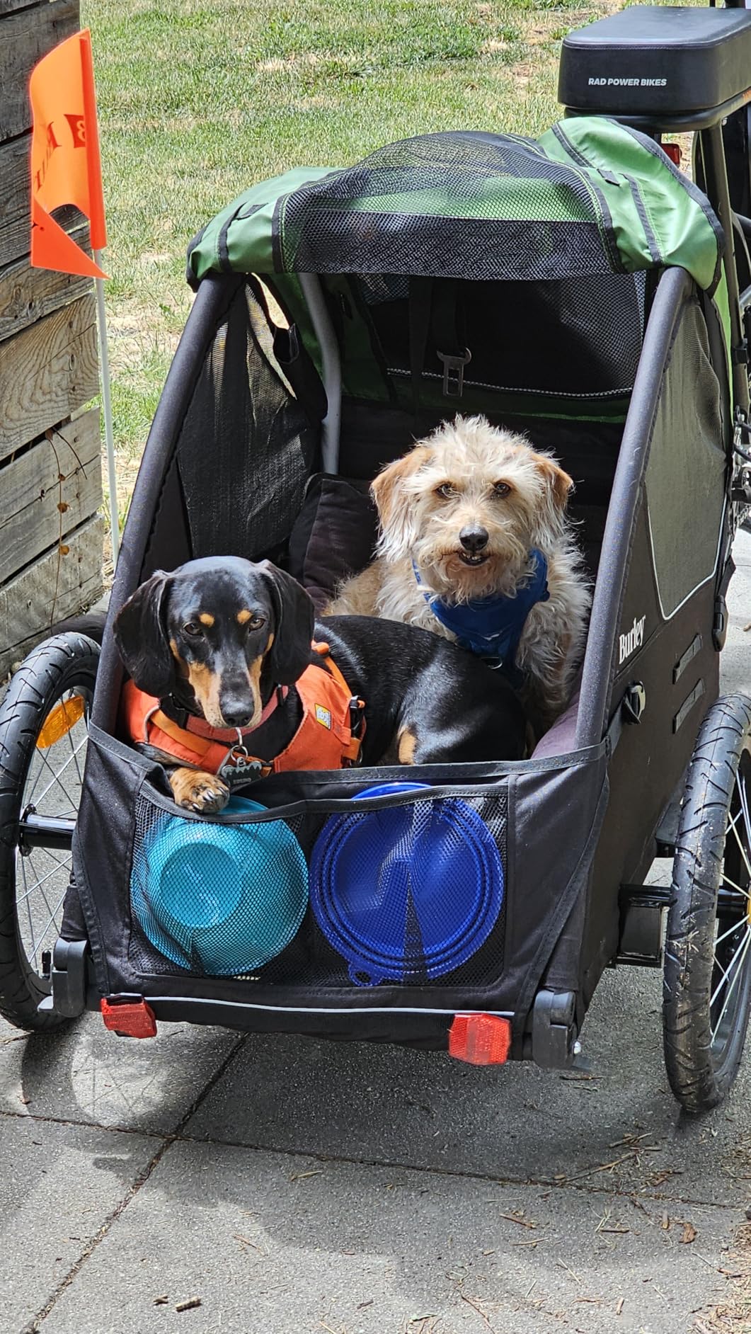 Burley Tail Wagon | Lightweight Dog Bike Trailer with Mesh Windows customer photo 2