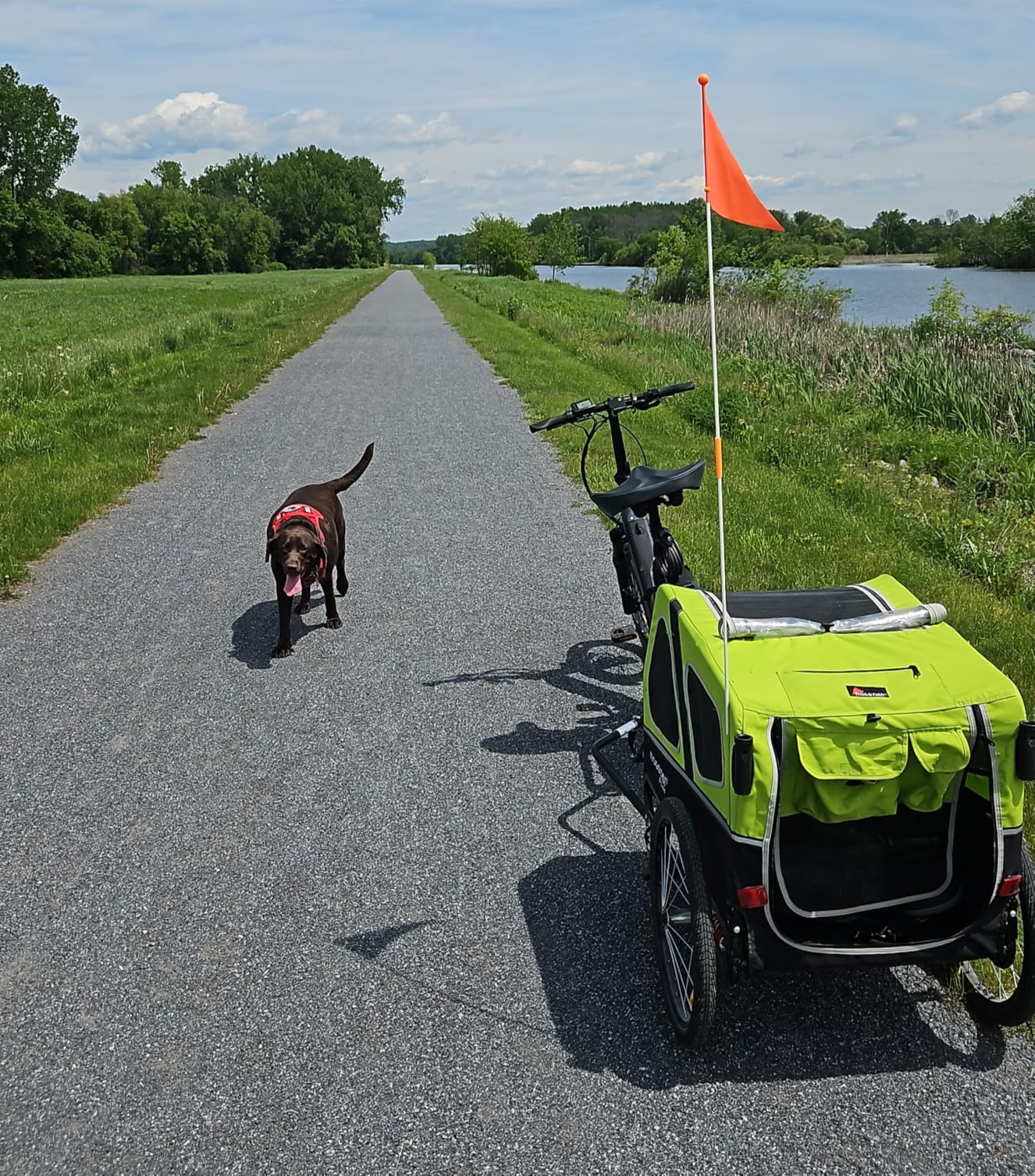 DOGGYHUT S-Line XL Pet Bike Trailer & Stroller for Large Dogs Up to 100 lbs customer photo 1