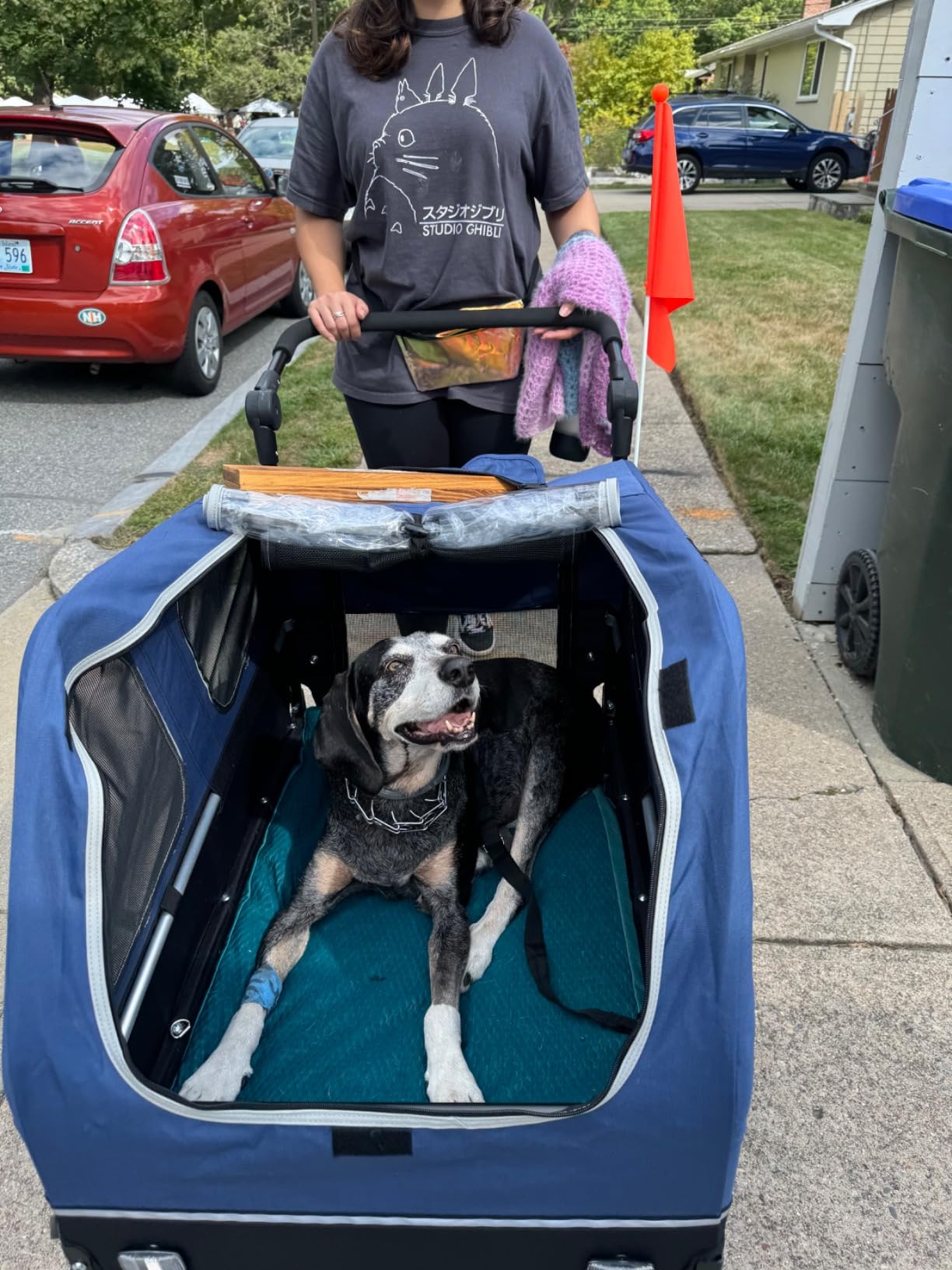 DOGGYHUT S-Line XL Pet Bike Trailer & Stroller for Large Dogs Up to 100 lbs customer photo 2