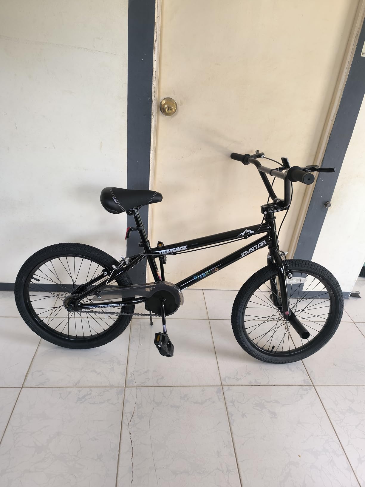 JOYSTAR 20 24 Inch Kids BMX Bike for Boys and Girls Age 7-12 | Freestyle Bicycle for Beginner Level Riders with Dual Hand Brakes & 2 Pegs | 24