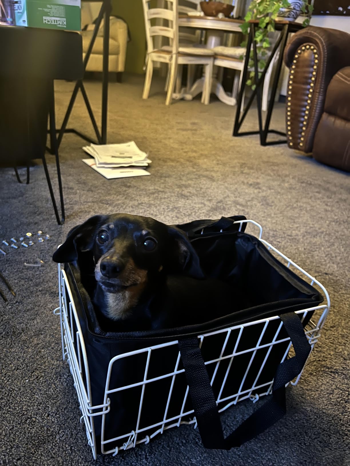 Zacro Bike Basket Front, Folding Bicycle Basket with Removable Liner Bag, Large Quick Release Design Metal Ebike Basket for Adult Women/Men Carrying Dogs, Pets, Fruit & Grocery customer photo 1
