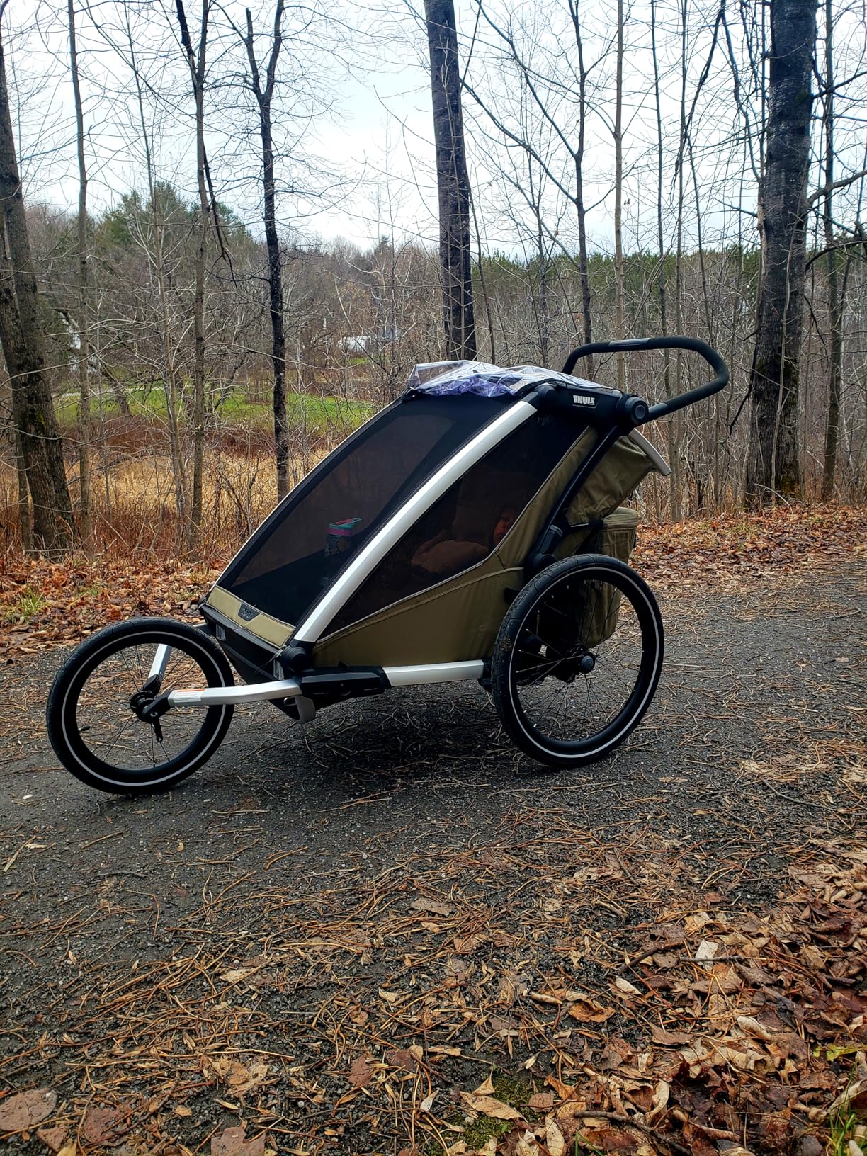 Thule Chariot Cross 2 Multisport Trailer & Stroller customer photo 2