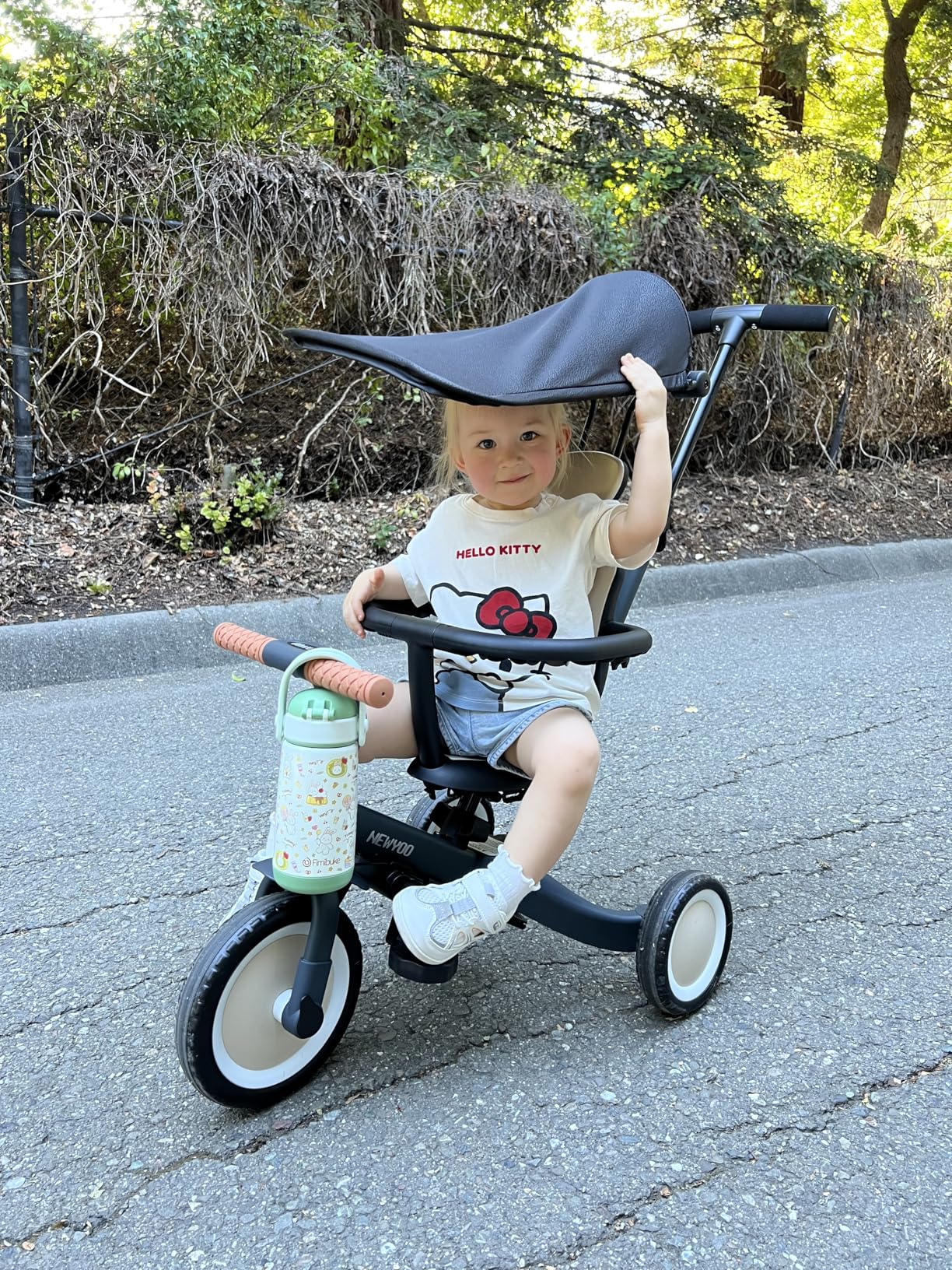 newyoo TR009 6-in-1 Tricycle for Toddlers 1-3, Toddler Bike, Birthday Gift | Toddler Trike with Canopy and Parent Push Handle Converts to Balance Bike, Fun Outdoor Toy for Boys and Girls, White customer photo 1