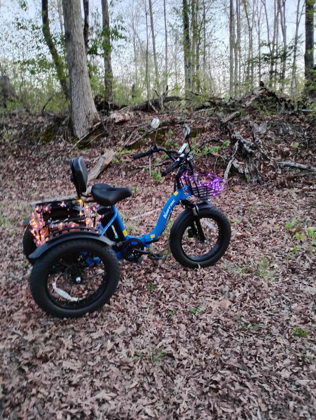 NARRAK Electric Tricycle for Adults, Fat Tire Folding Electric Trike, 3 Wheels Electric Bicycle Bikes, Peak 1350W Step-Thru Etrike with Removable Battery and Large Basket customer photo 2