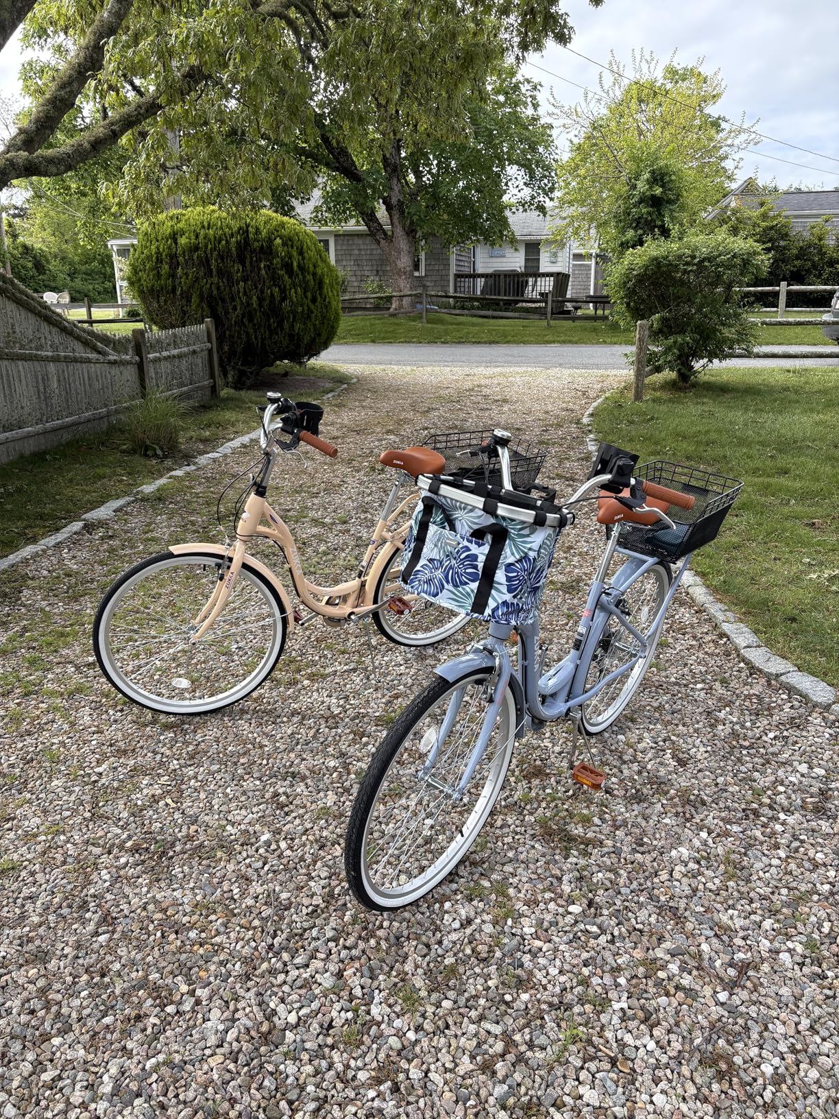 Beach Cruiser Bike for Women 24 Inch Ladies Bike 7 Speed Complete Cruiser Bikes with Dual V-Brake and Adjustable Seat customer photo 1