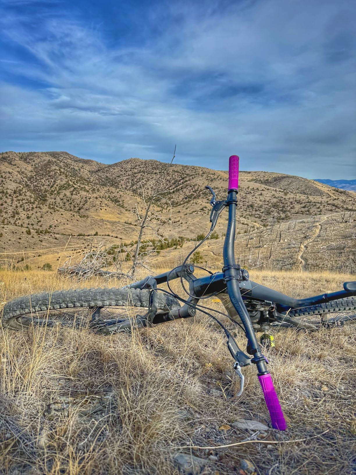 ODI Grip Reflex Lock-On V2.1 Grips customer photo 1
